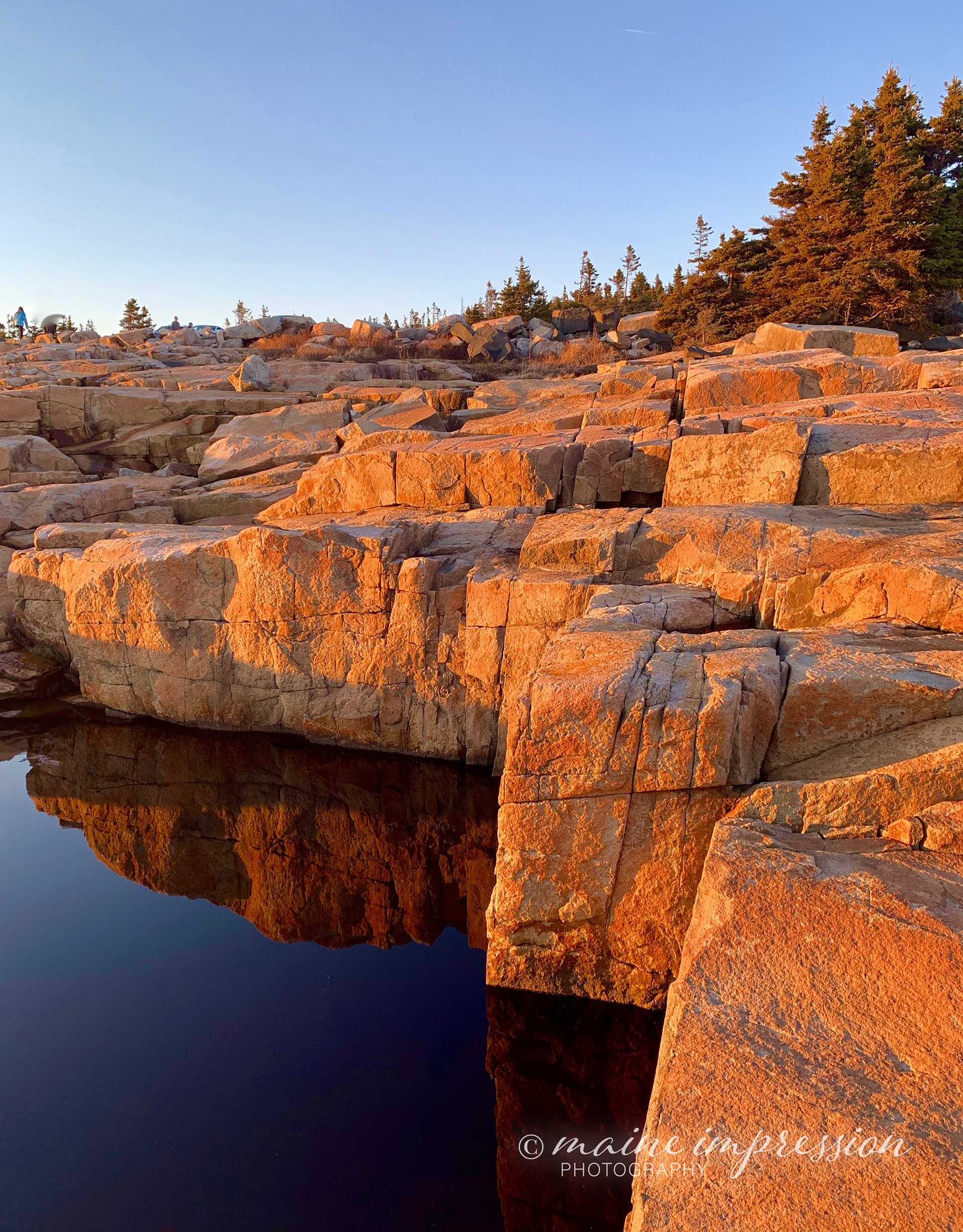 Sunset rocks at Schoodic