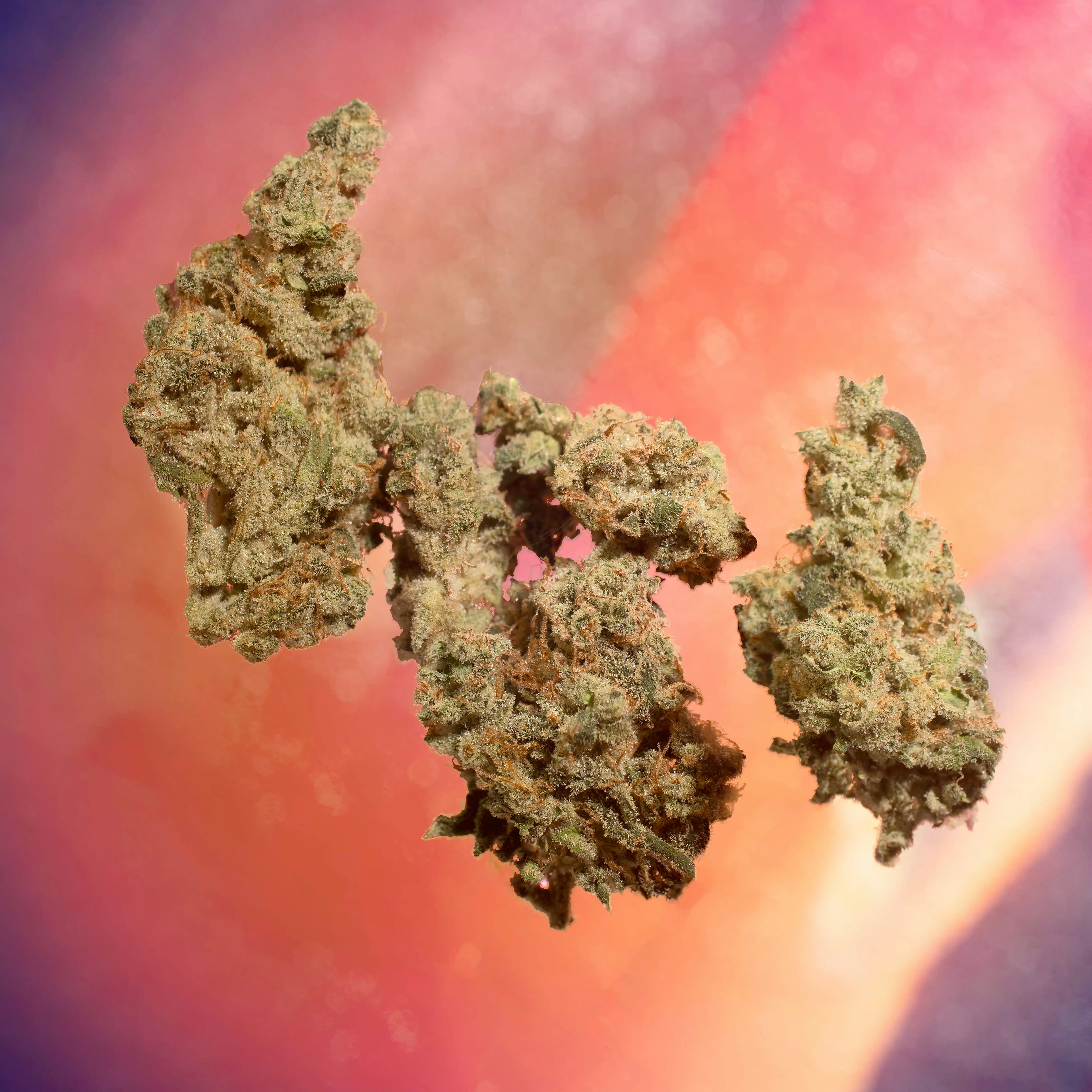 Cherry Lime Soda by Greendot Labs