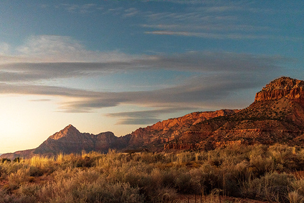 unknown, AZ
