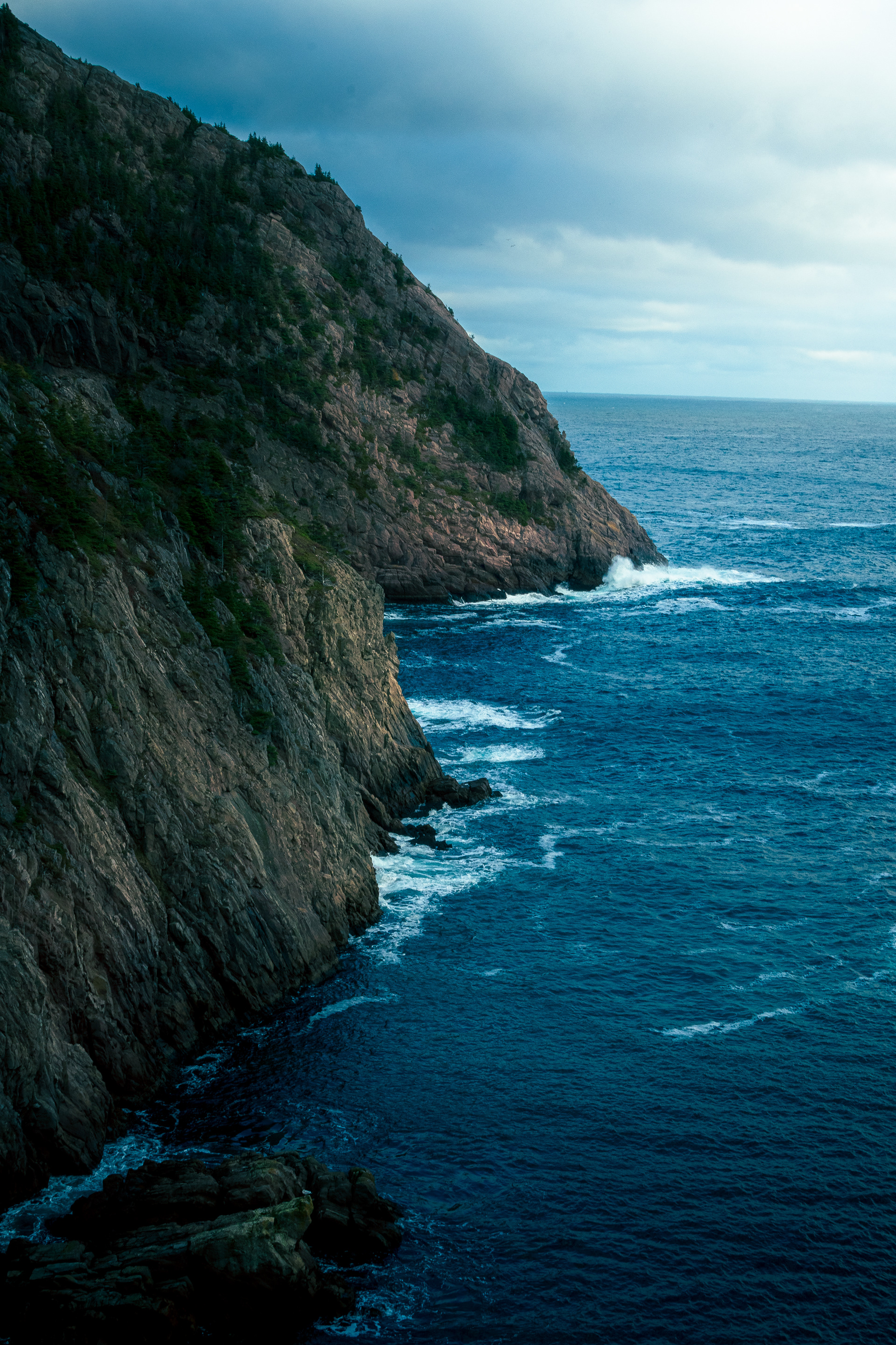 Newfoundland, CA