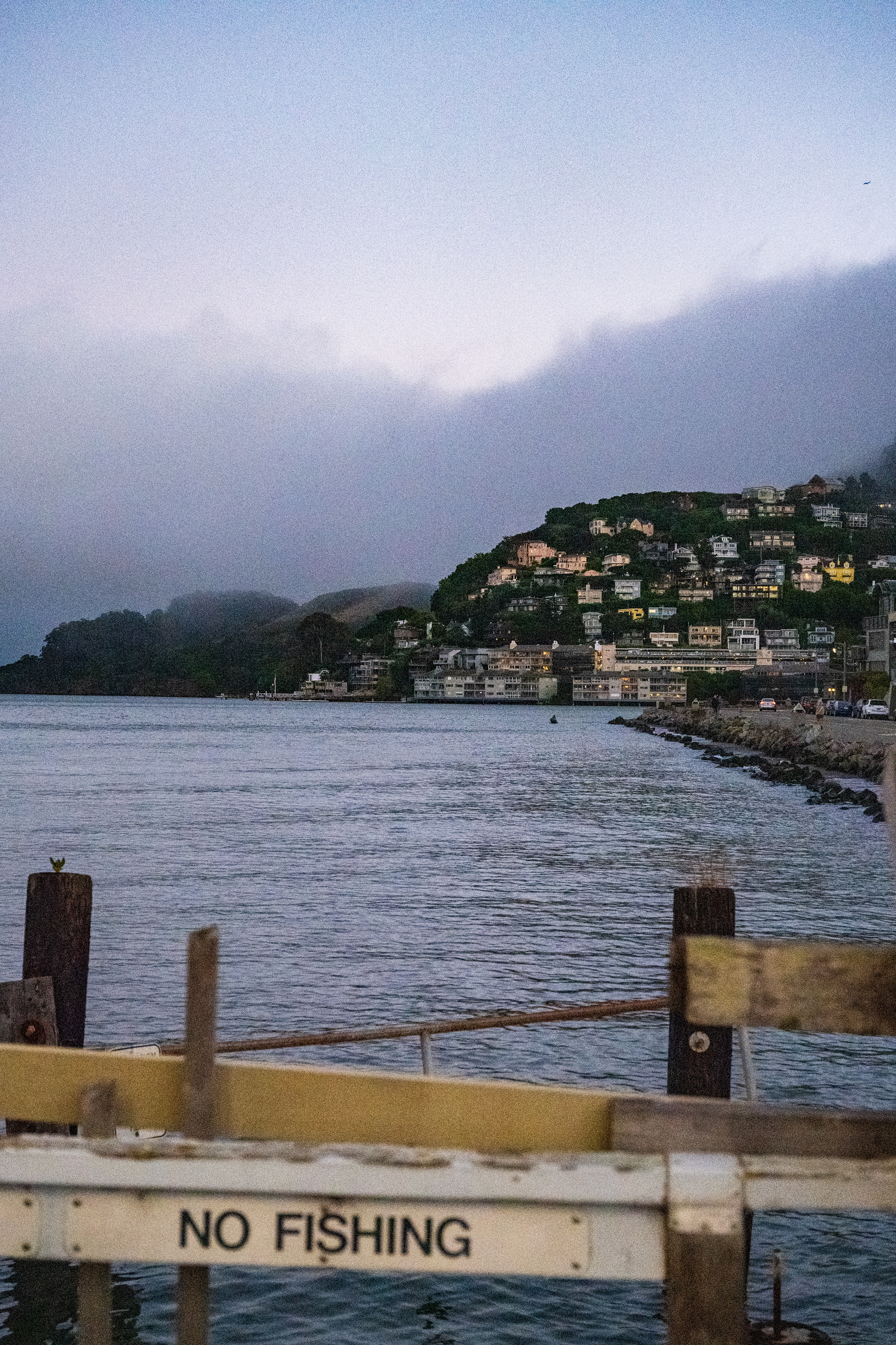 Sausalito, 2024
