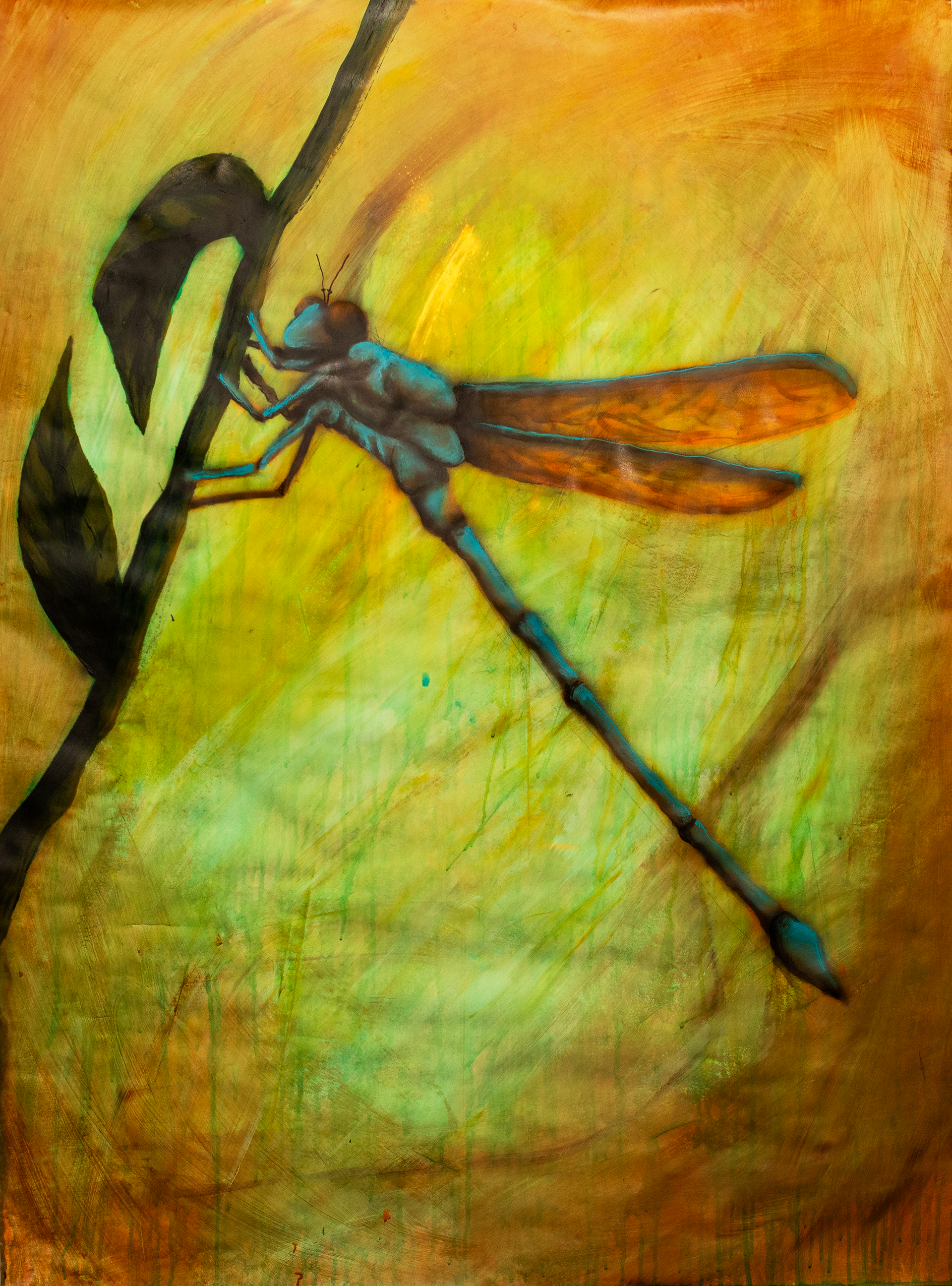 Dragonfly, 2023