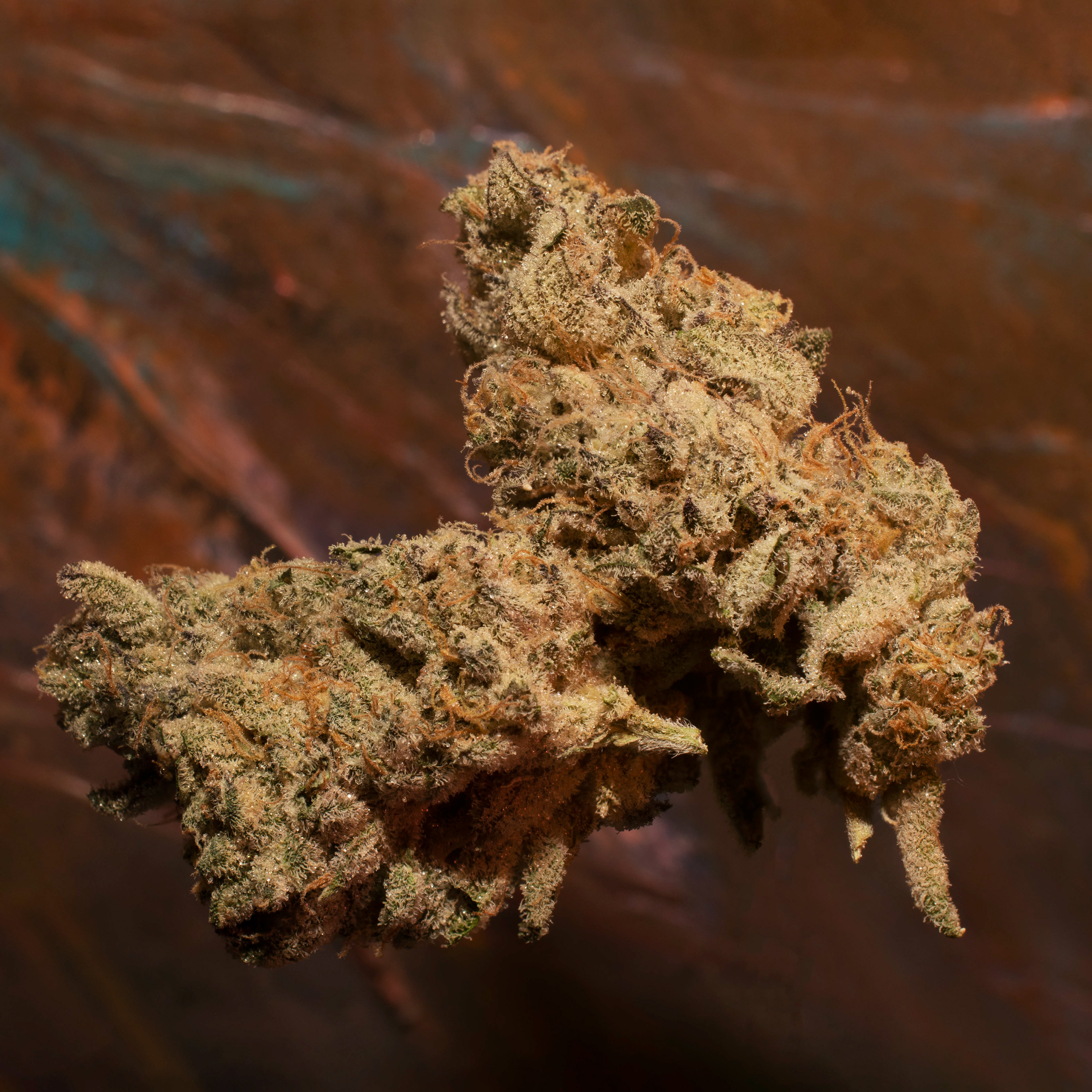 A5 Wagyu by Green Dot Labs
