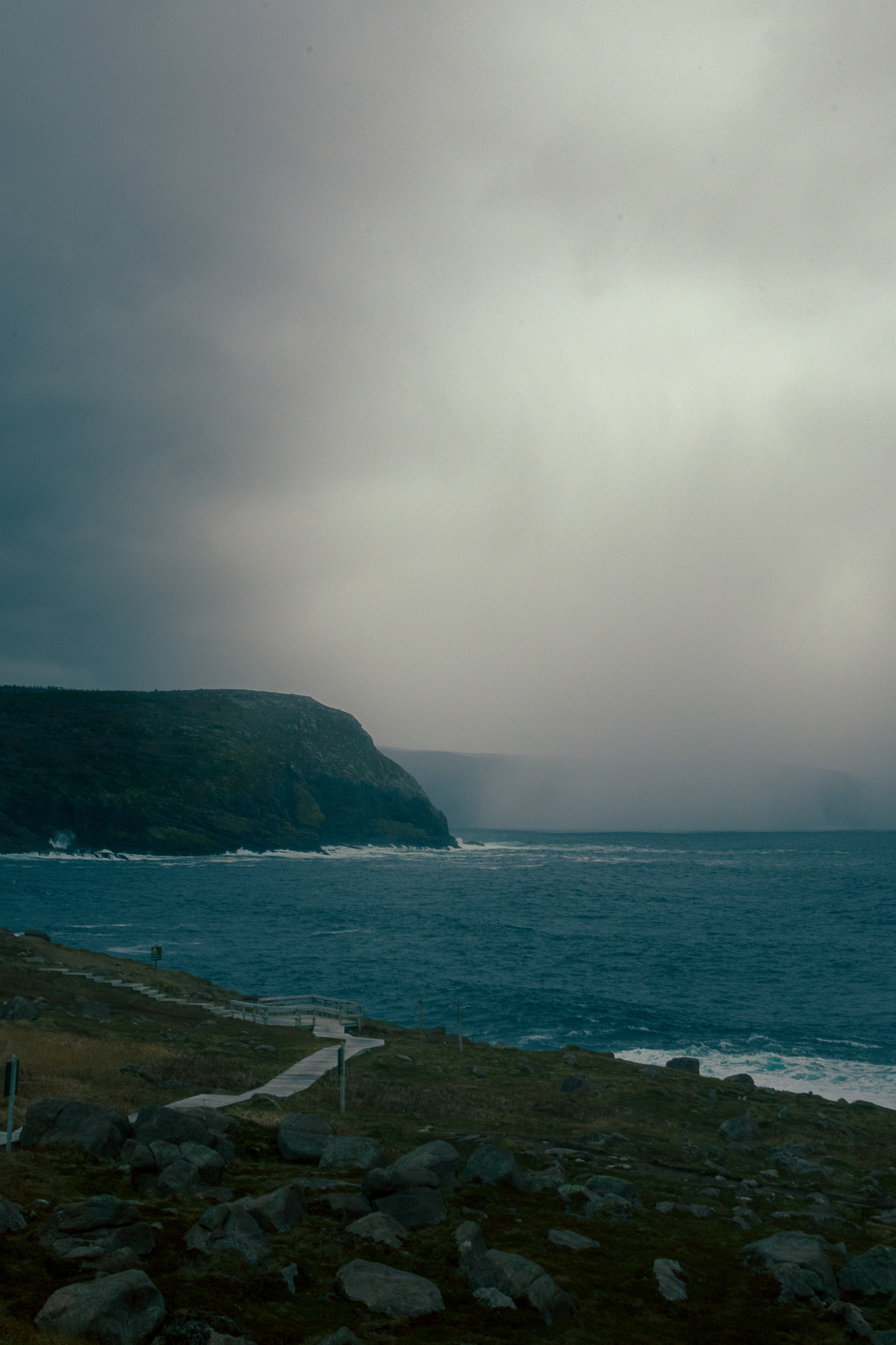 Newfoundland, CA