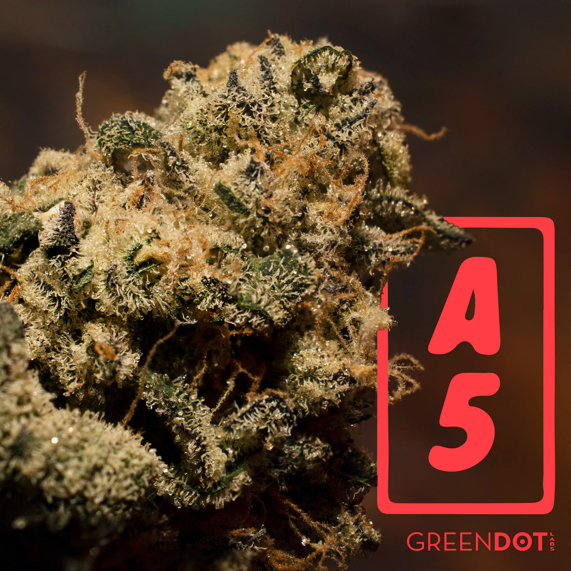 A5 Wagyu by Green Dot Labs