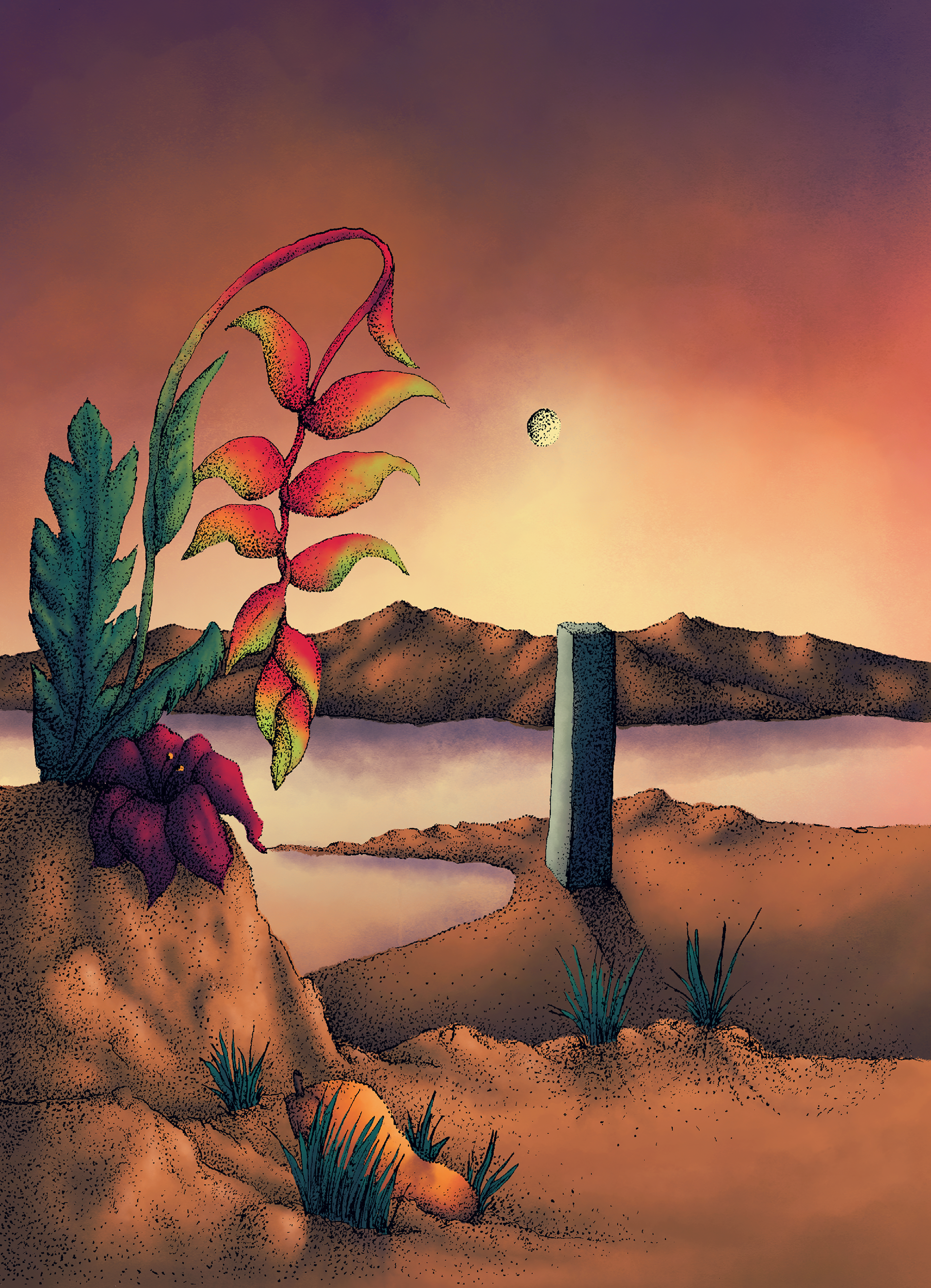 Lobster claw plant in moonlight, 2025