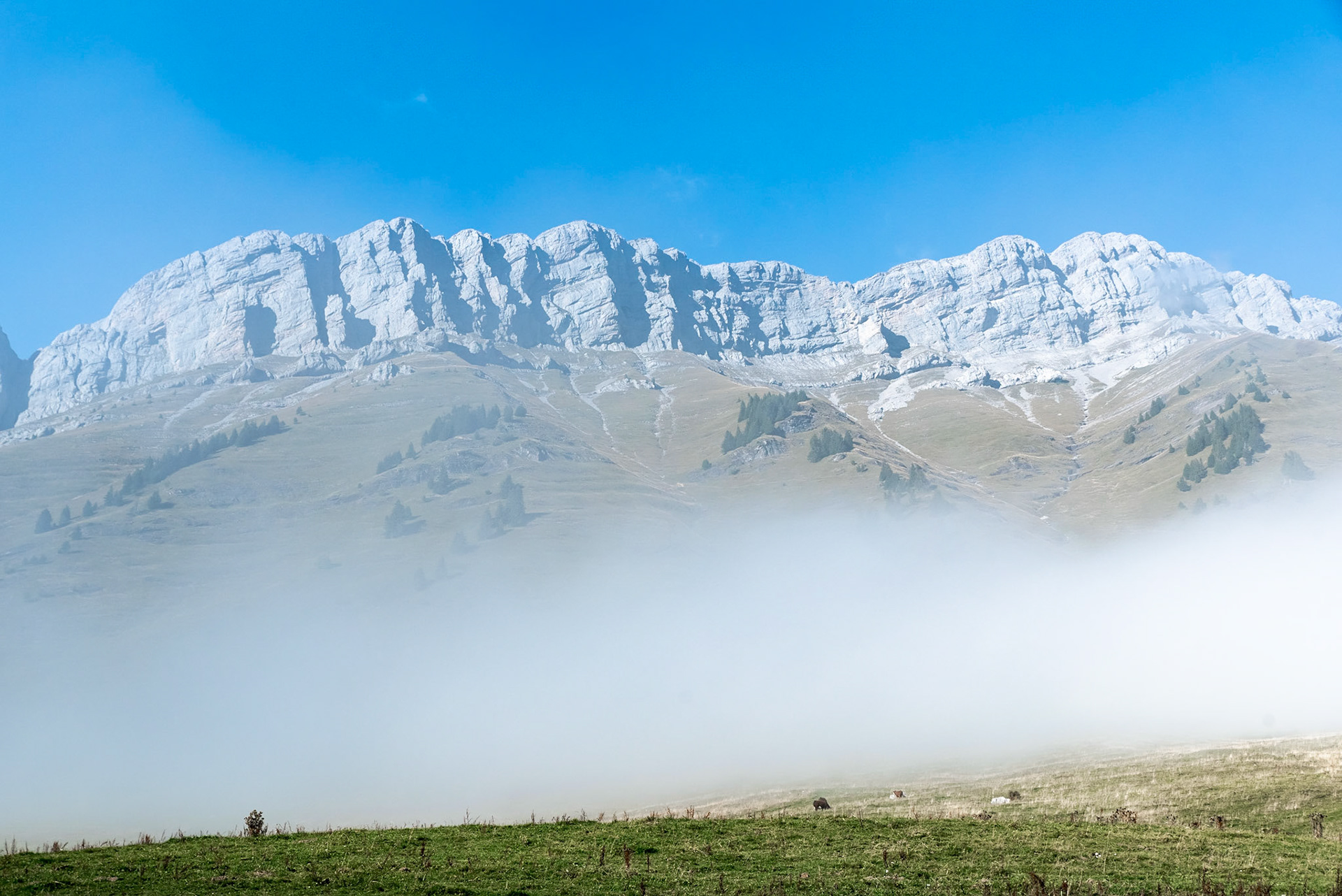 Les Aravis