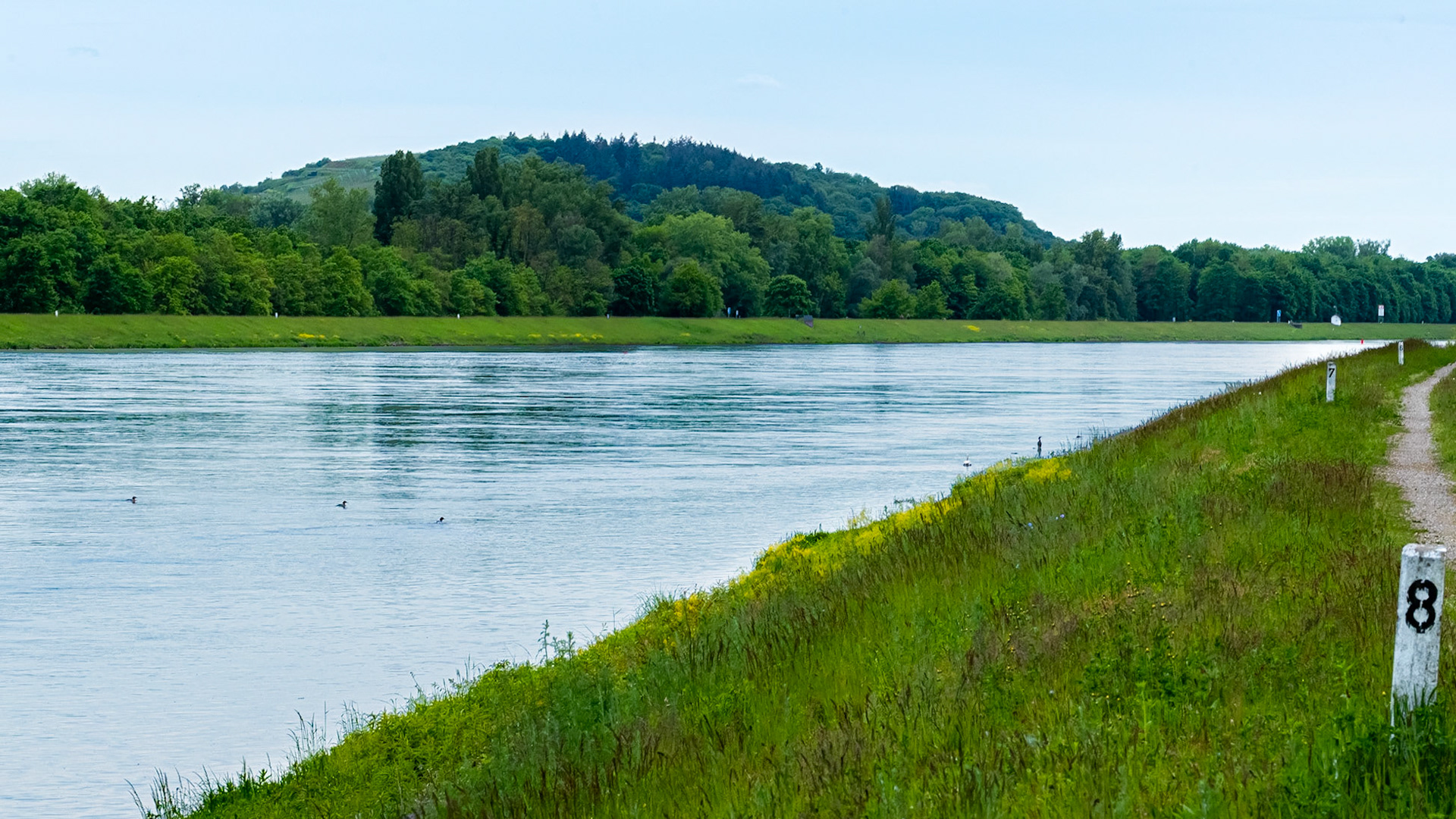 Le Rhin