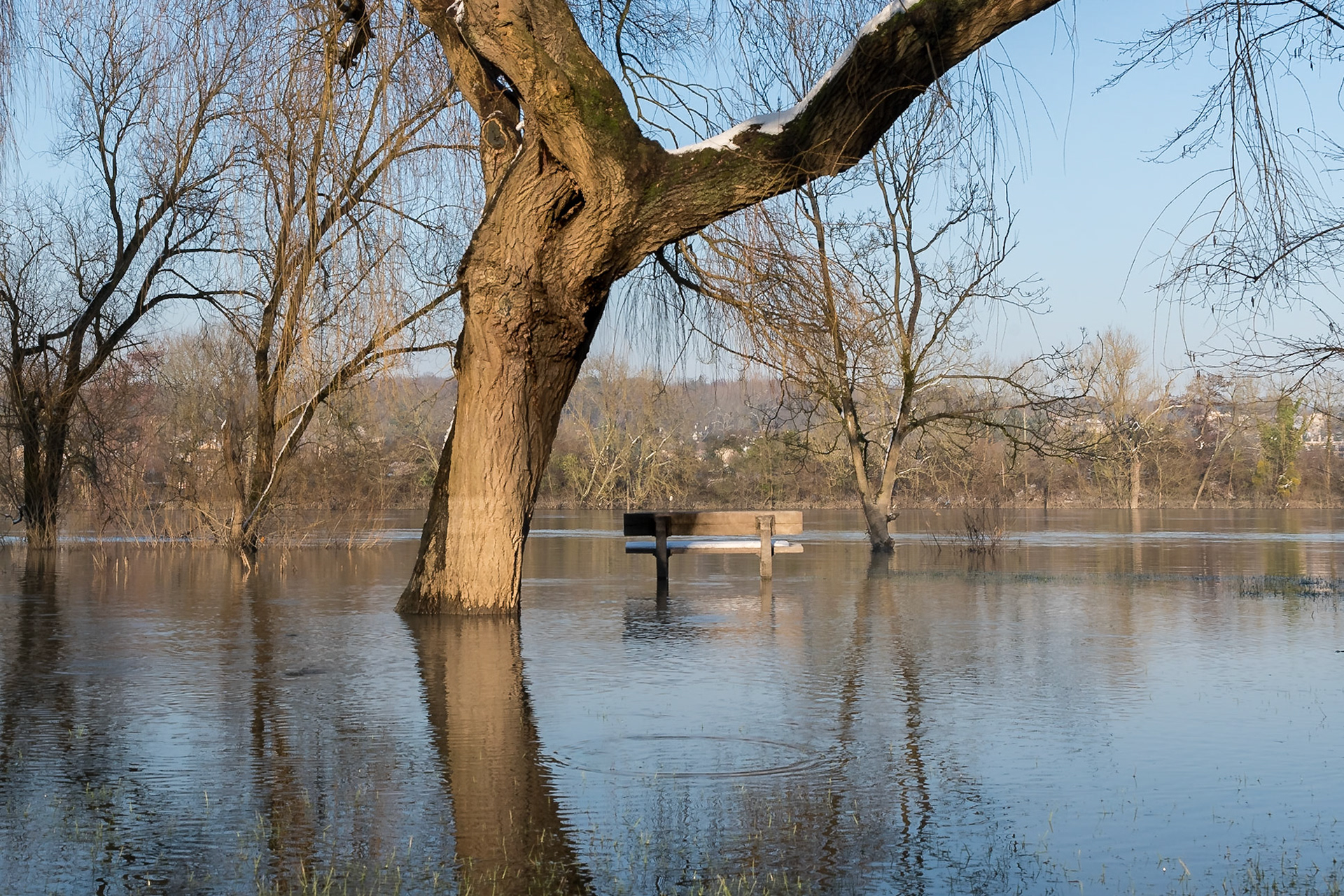 La Seine