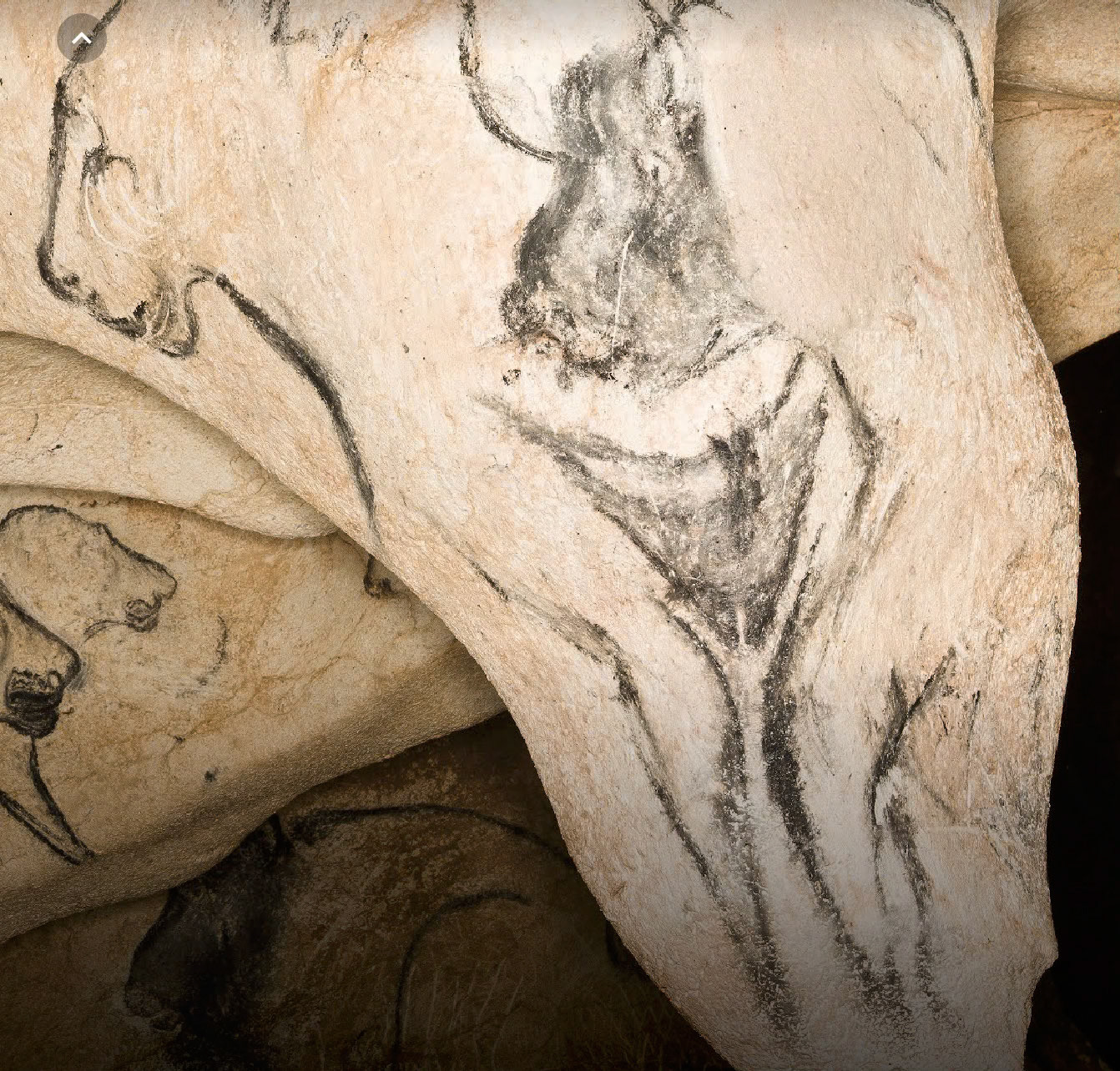 Le grand nu de la grotte Chauvet