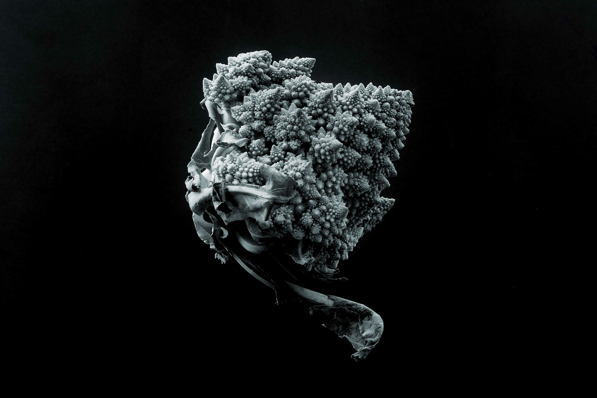 Chou romanesco