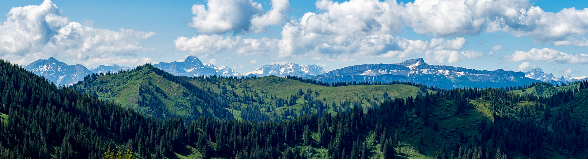 mit Weiherkopf, Rangiswanger Horn, bis kurz vor das Sigiswanger Horn und wieder zurück