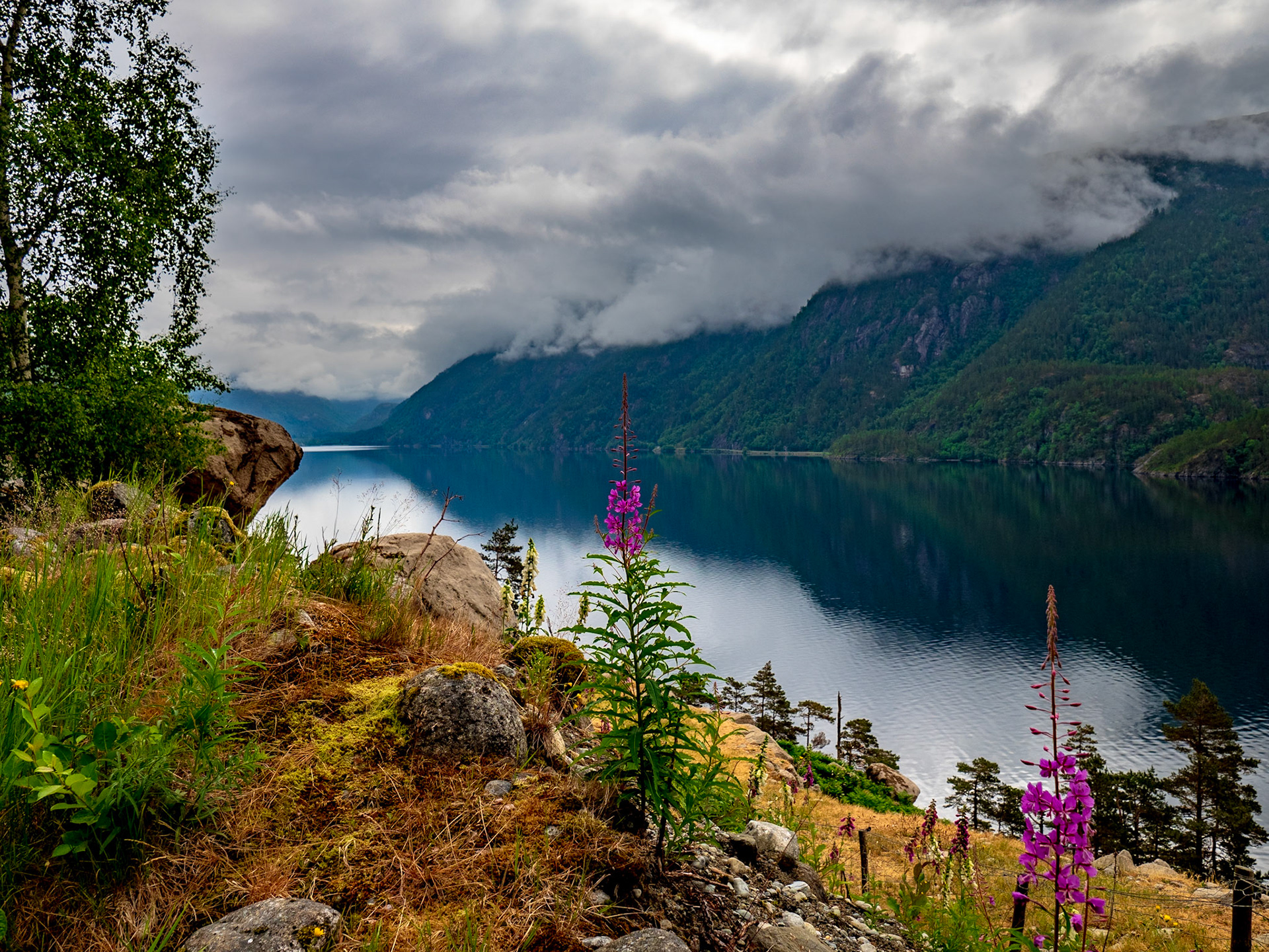 Typisch Norwegen - einfach vom Straßenrand aus fotografiert

Just Norwegian - picture taken from the curb