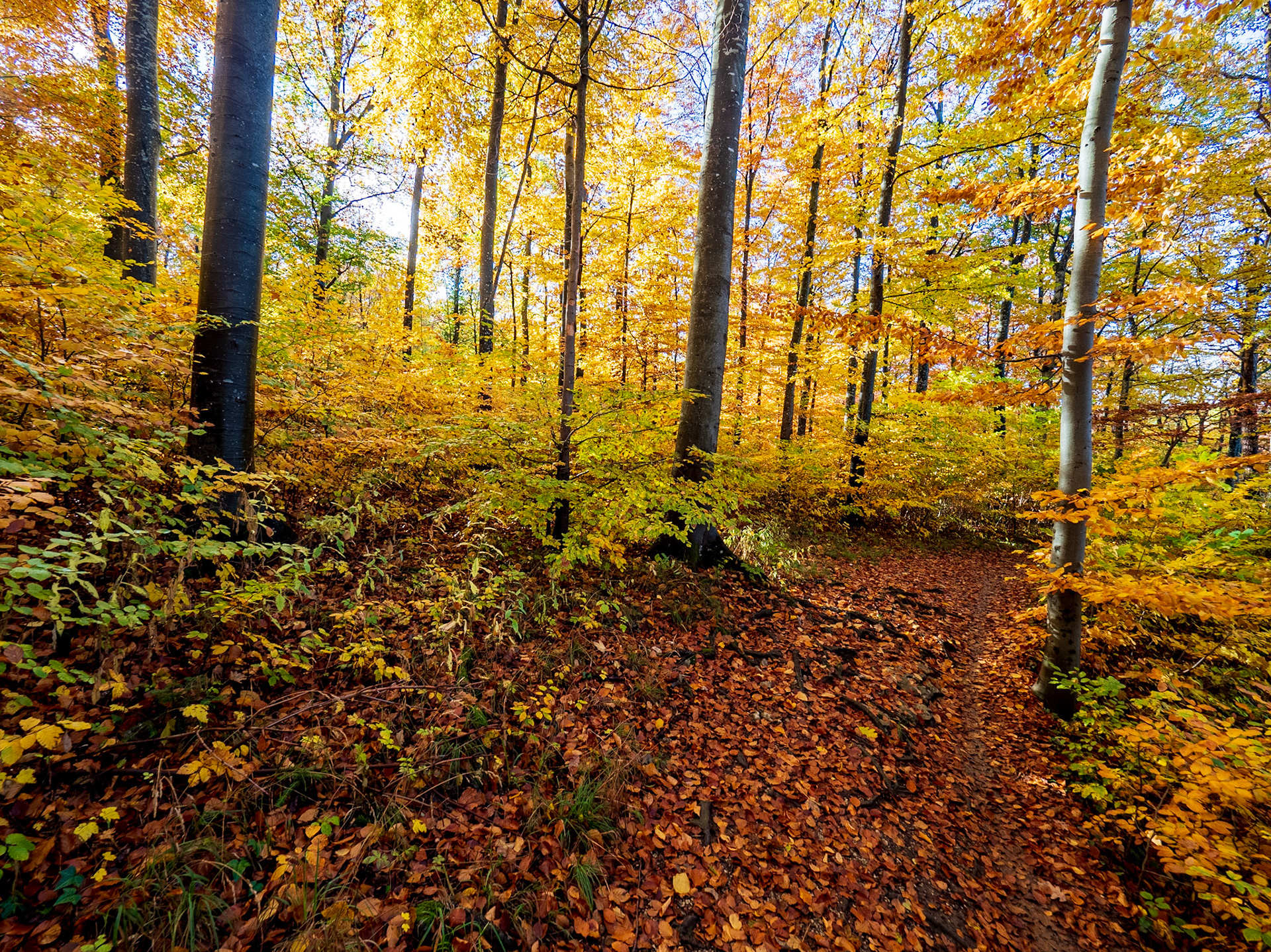 Rund um den Hohenneuffen