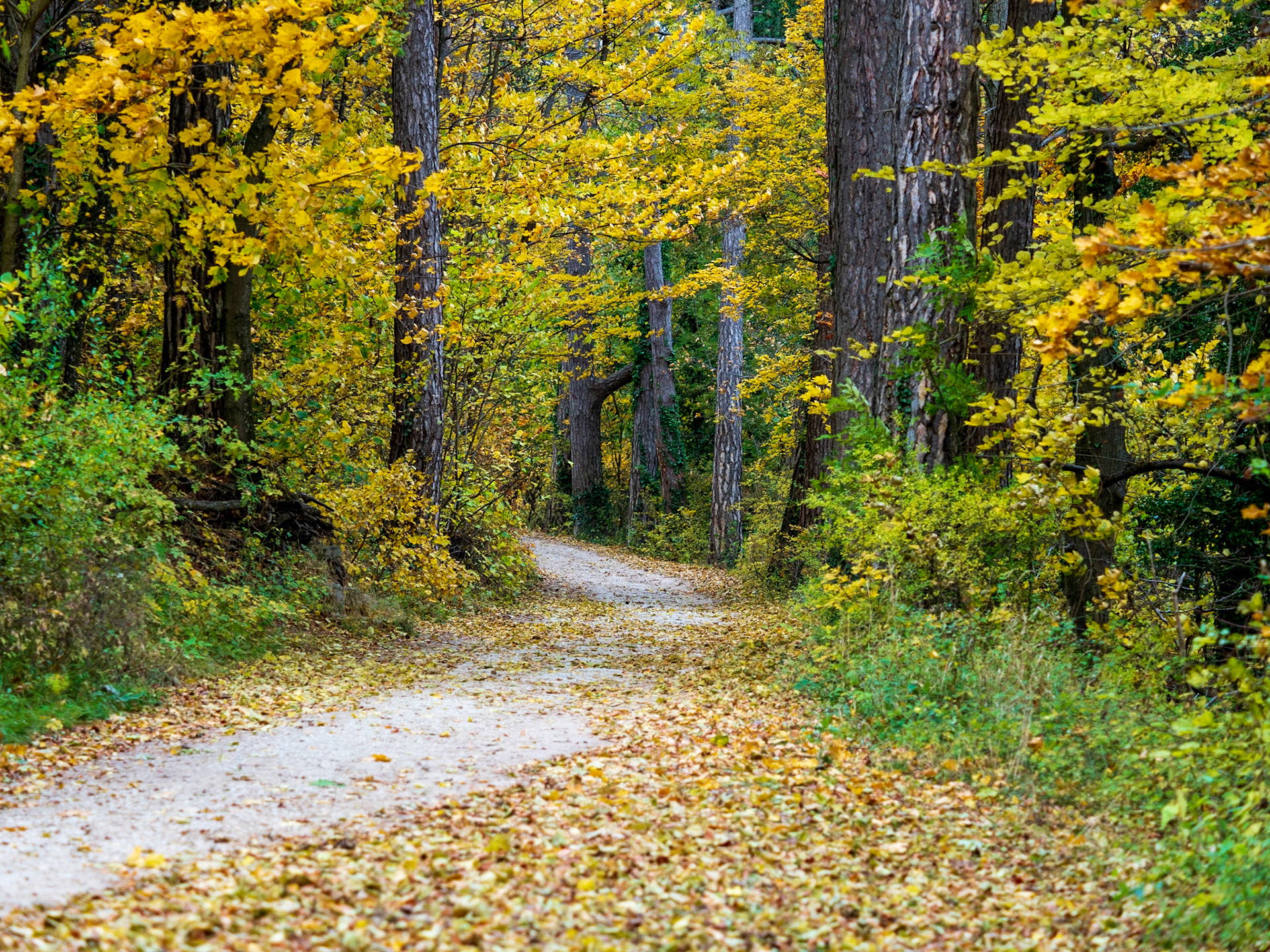 Rund um den Hohenneuffen