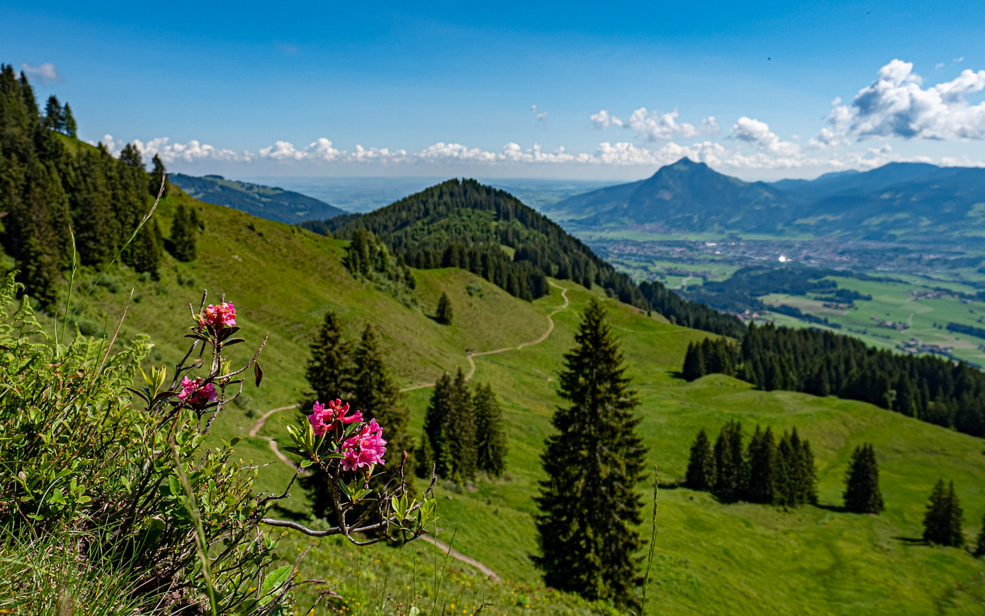 mit Weiherkopf, Rangiswanger Horn, bis kurz vor das Sigiswanger Horn und wieder zurück