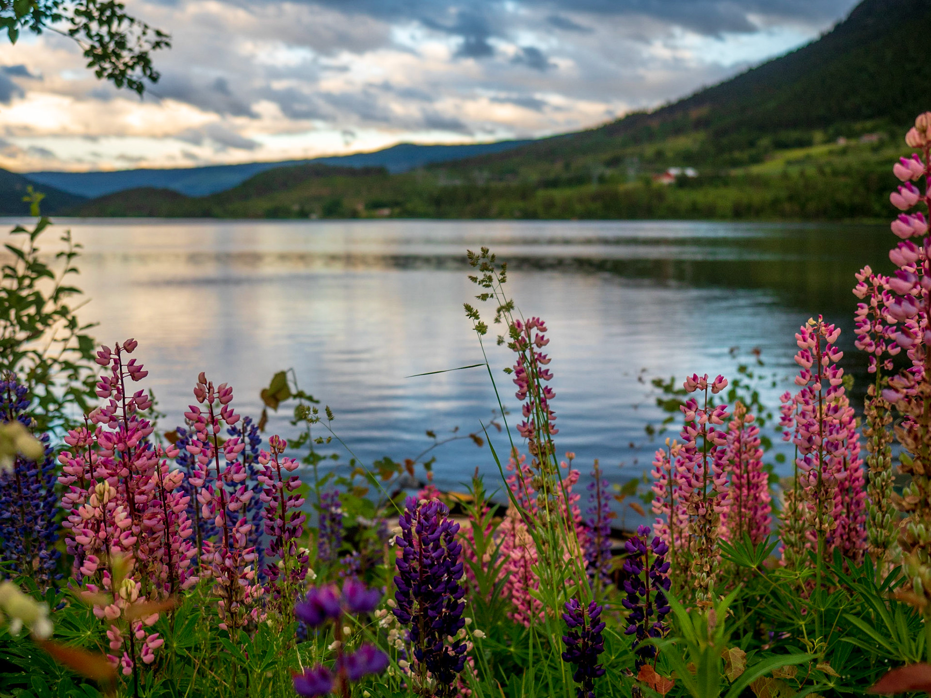 Auch mal wieder auf dem Weg zum Campingplatz kurz vor Sonnenuntergang gesichtet und angehalten

Once more on our way to the camping site just before sunset. We had to pull over for this view