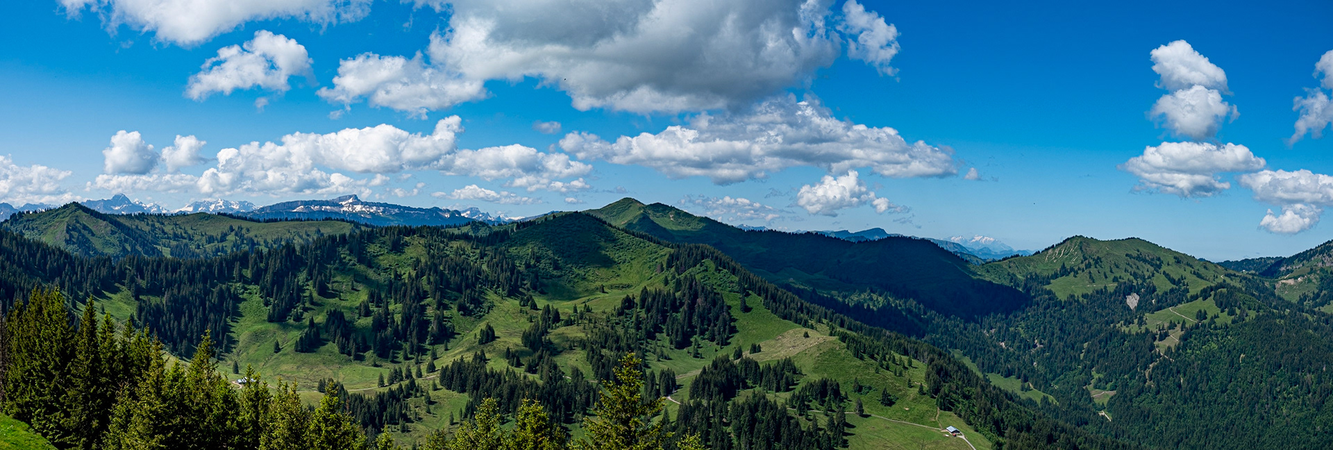 mit Weiherkopf, Rangiswanger Horn, bis kurz vor das Sigiswanger Horn und wieder zurück