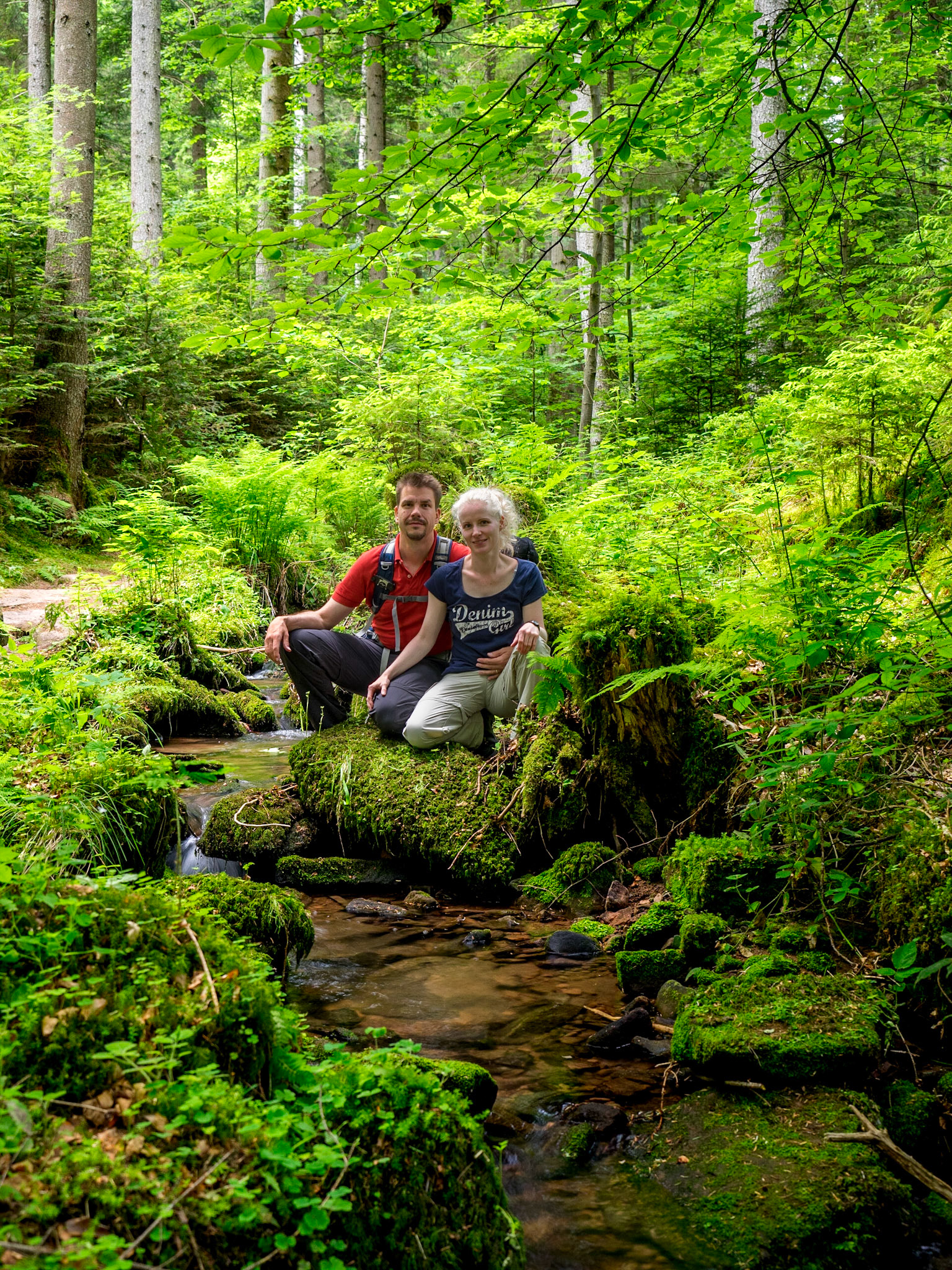 Rötelbach Schwarzwald