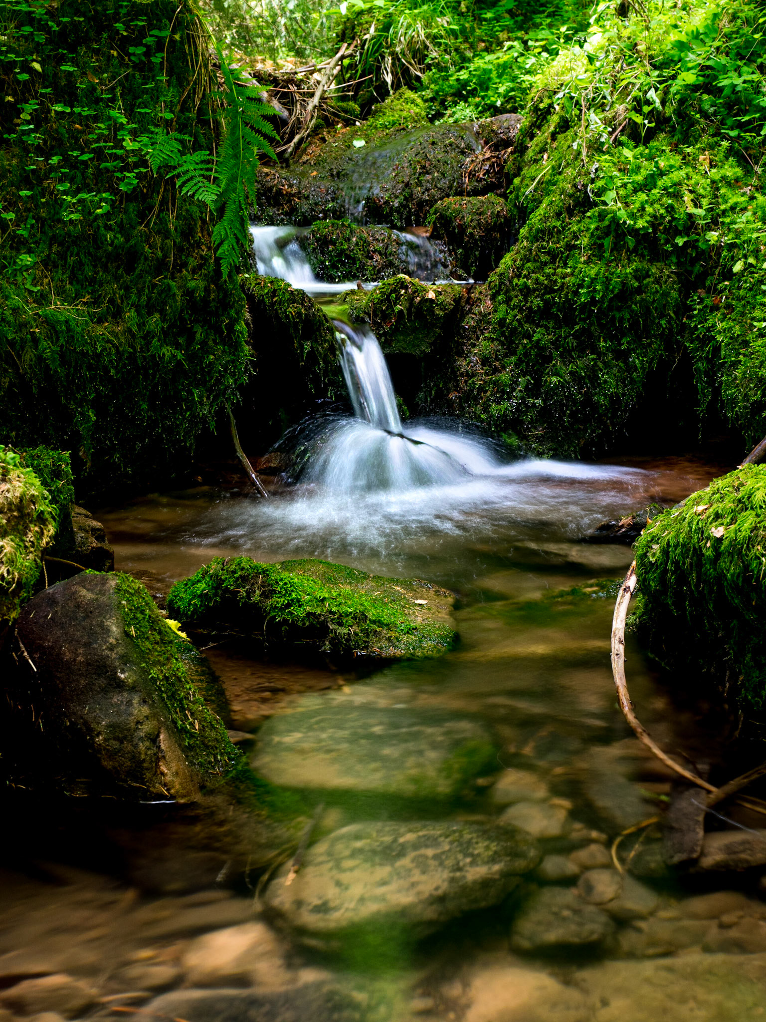 Rötelbach Schwarzwald