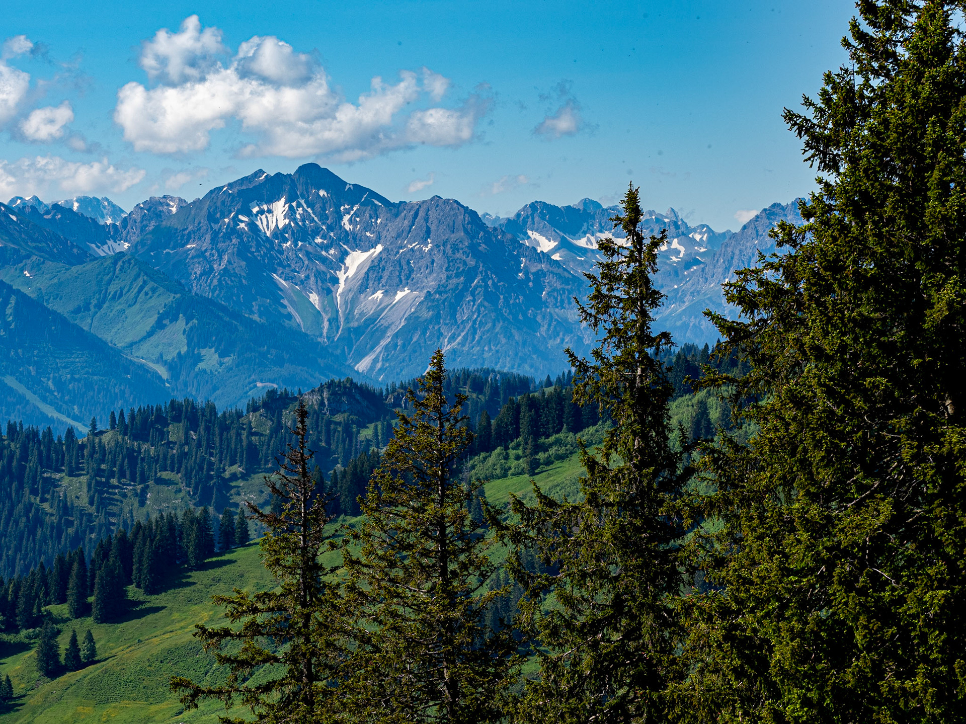mit Weiherkopf, Rangiswanger Horn, bis kurz vor das Sigiswanger Horn und wieder zurück