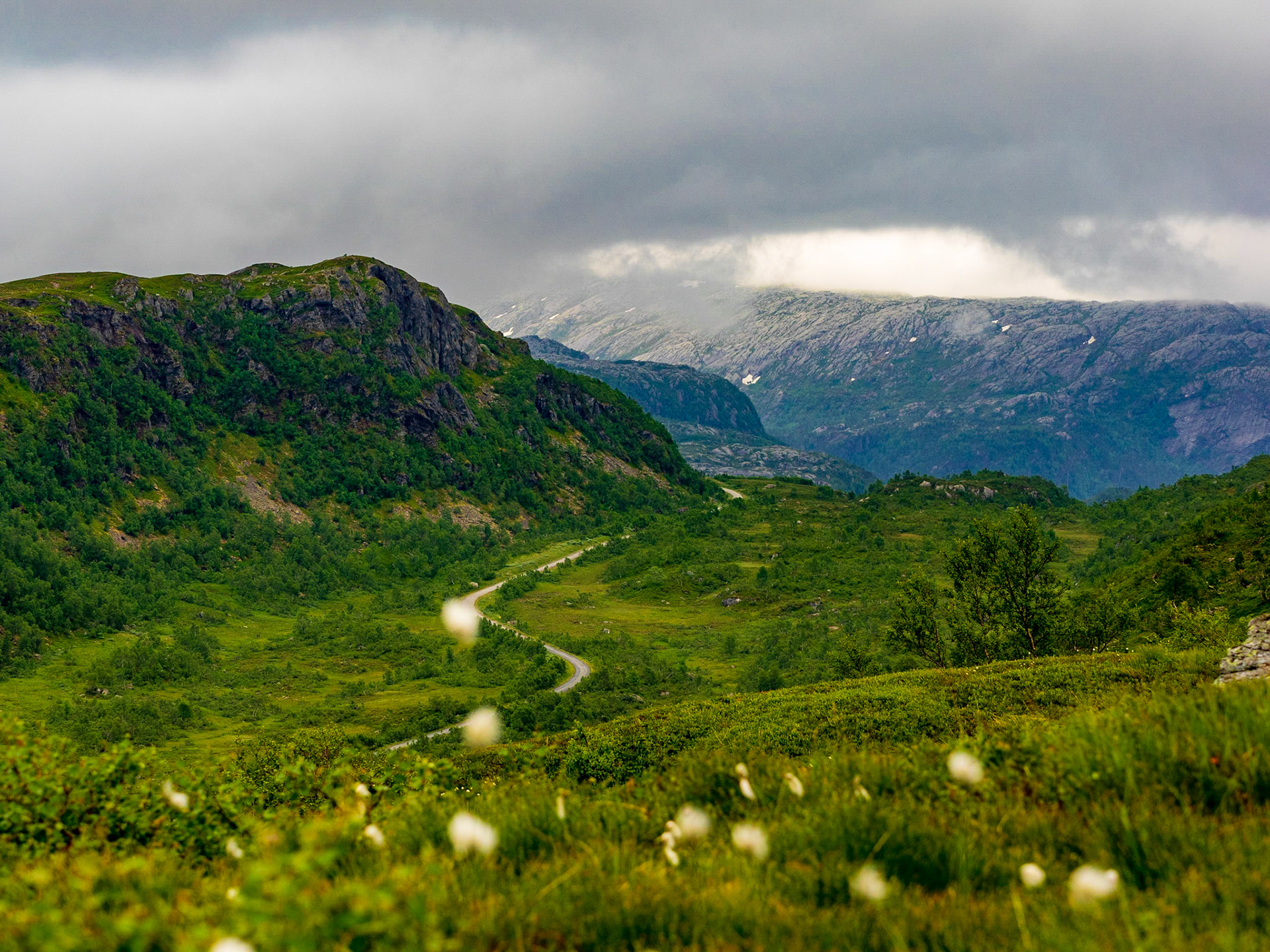Beim Erklimmen des Gullingen im Juni 2018

At hiking the Gullingen in June 2018