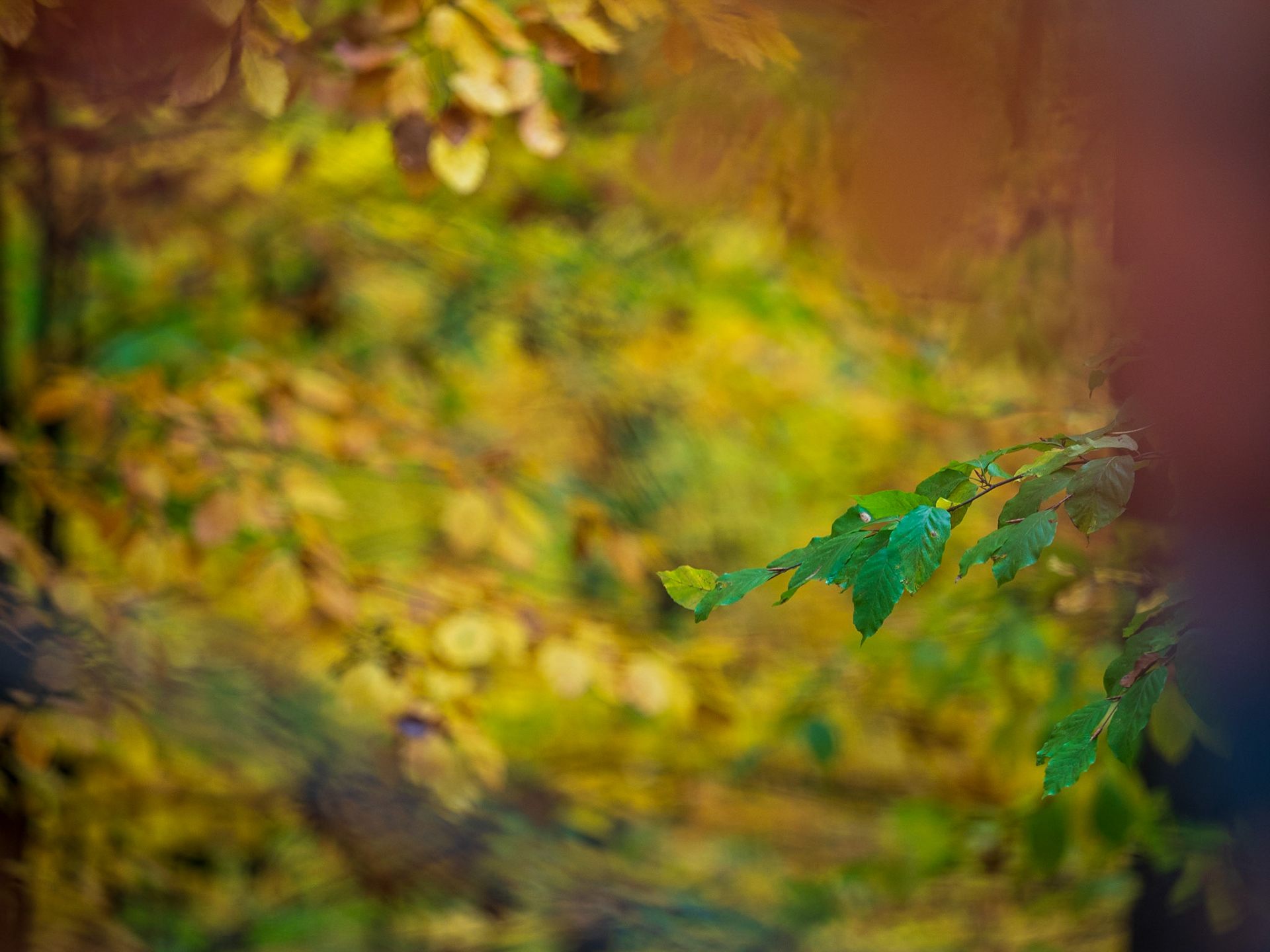 Rund um den Hohenneuffen