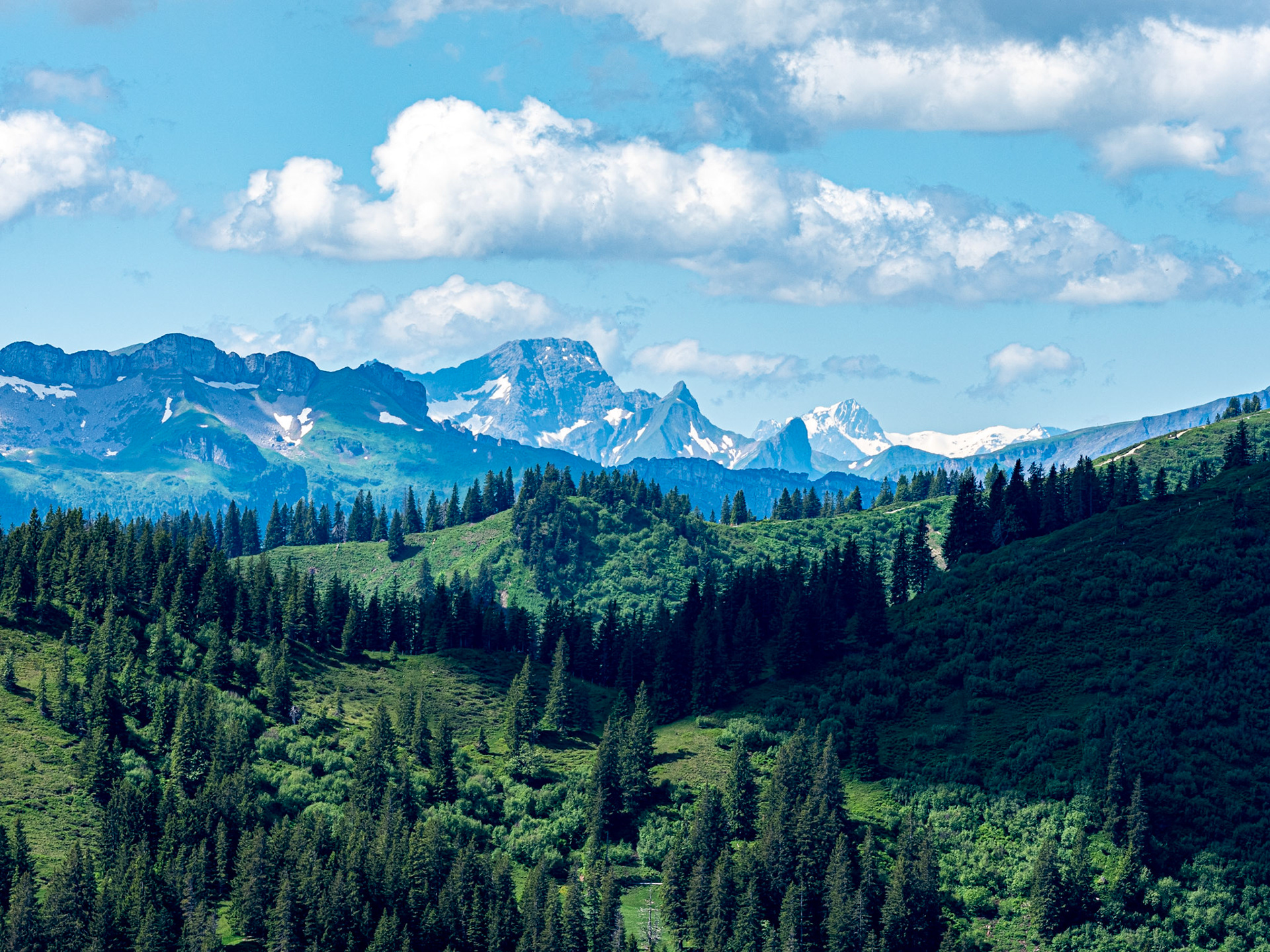 mit Weiherkopf, Rangiswanger Horn, bis kurz vor das Sigiswanger Horn und wieder zurück