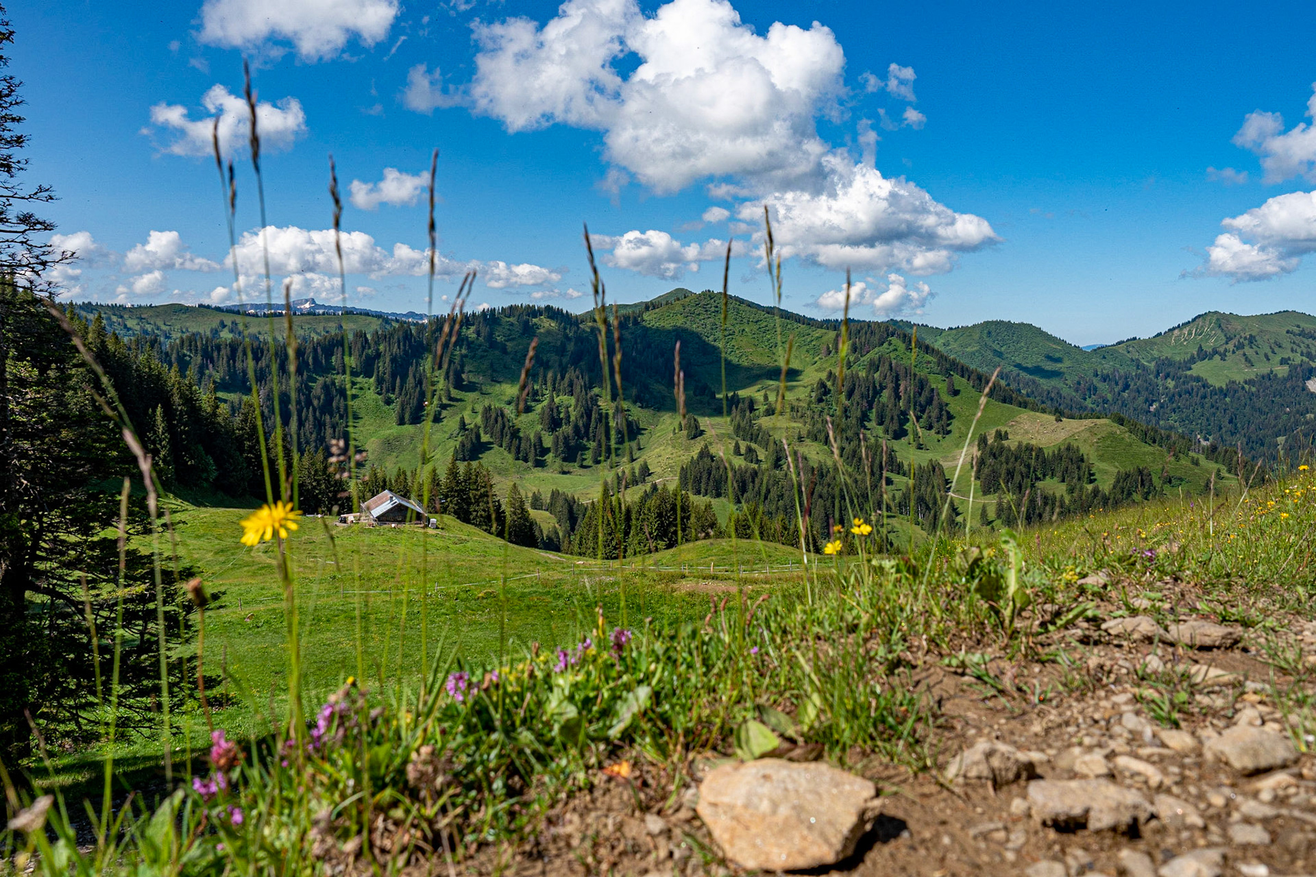 mit Weiherkopf, Rangiswanger Horn, bis kurz vor das Sigiswanger Horn und wieder zurück