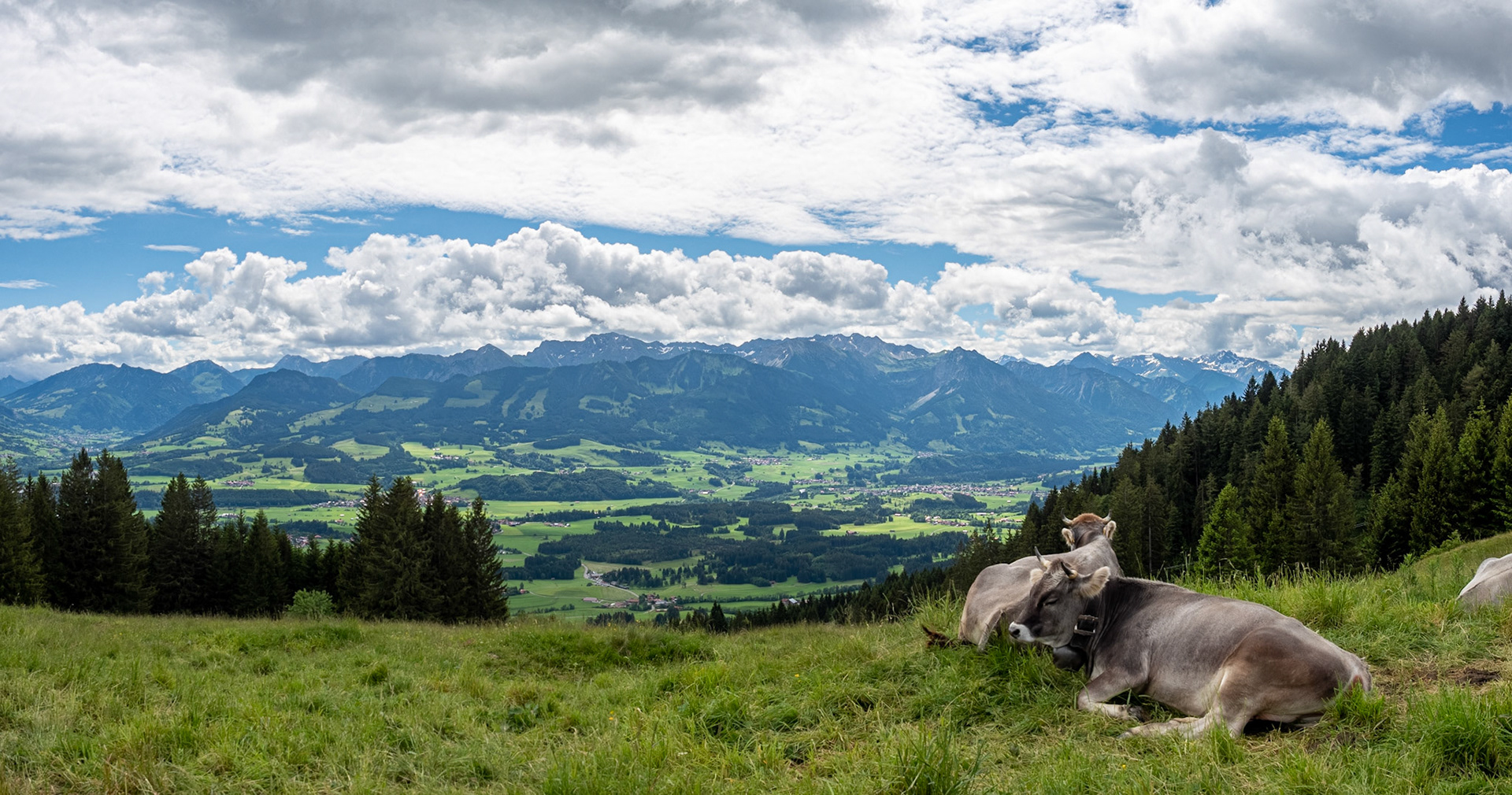 Um und auf dem Ofterschwanger Horn