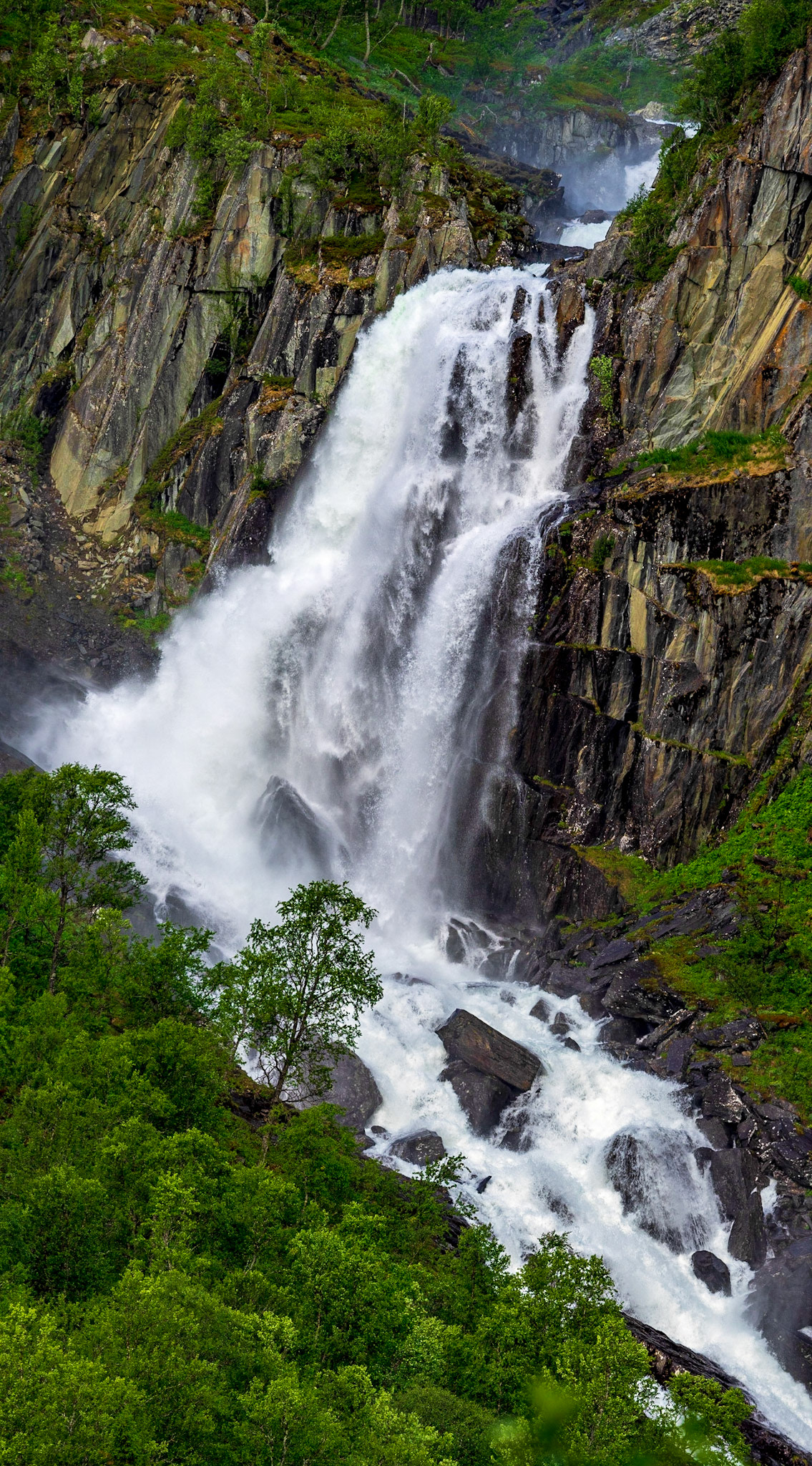 Nach ca. 20 Minuten strammem Bergauf erreicht man den ersten Aussichtspunkt mit Tisch und Bänken an welchem man die Aussicht auf den Hivjufossen genießen kann.

After about 20 minutes steep hiking you reach the first viewpoint with a table and benches where you can enjoy the view to Hivjufossen

Tour Details: https://www.wikiloc.com/hiking-trails/hivjufossen-25782898