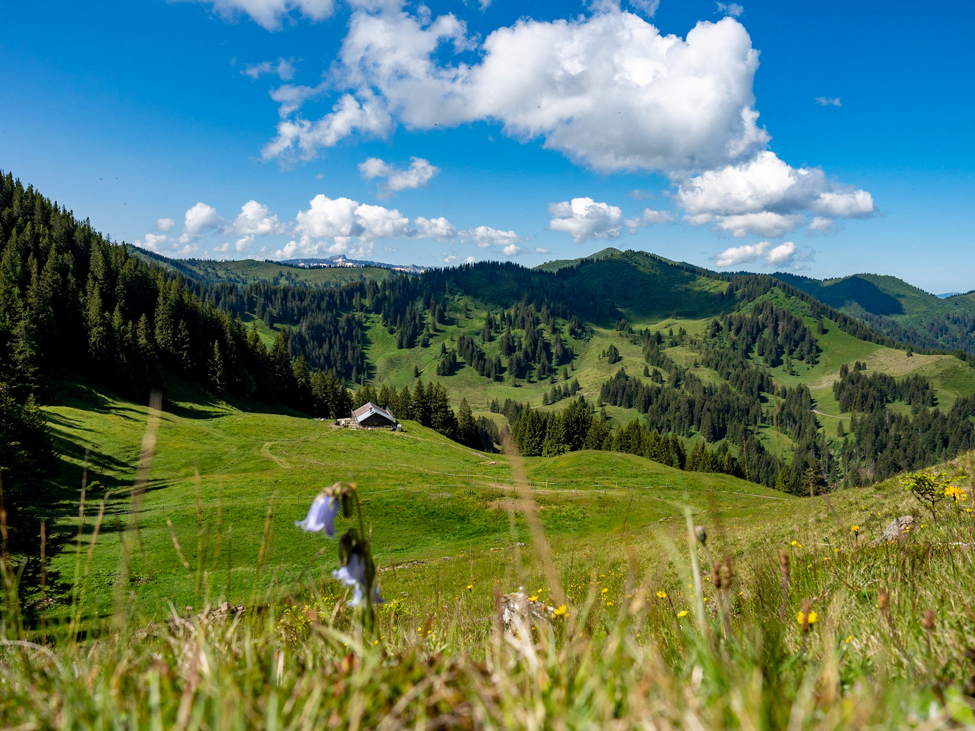mit Weiherkopf, Rangiswanger Horn, bis kurz vor das Sigiswanger Horn und wieder zurück