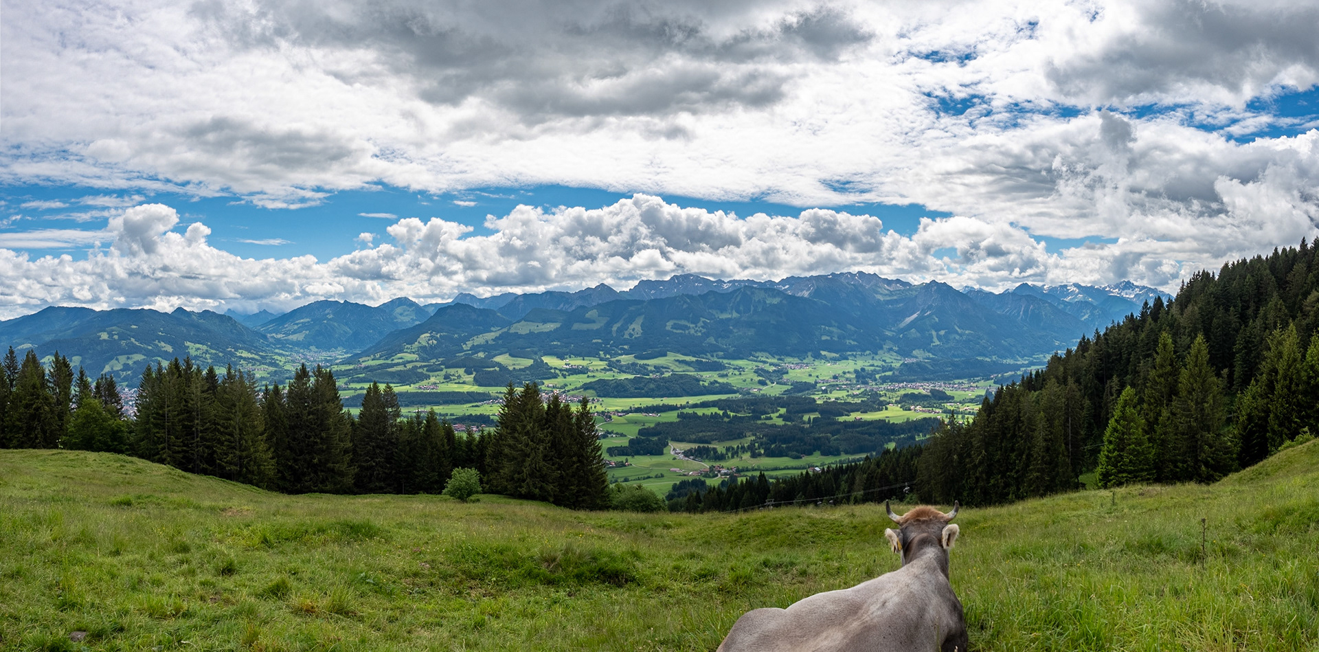 Um und auf dem Ofterschwanger Horn
