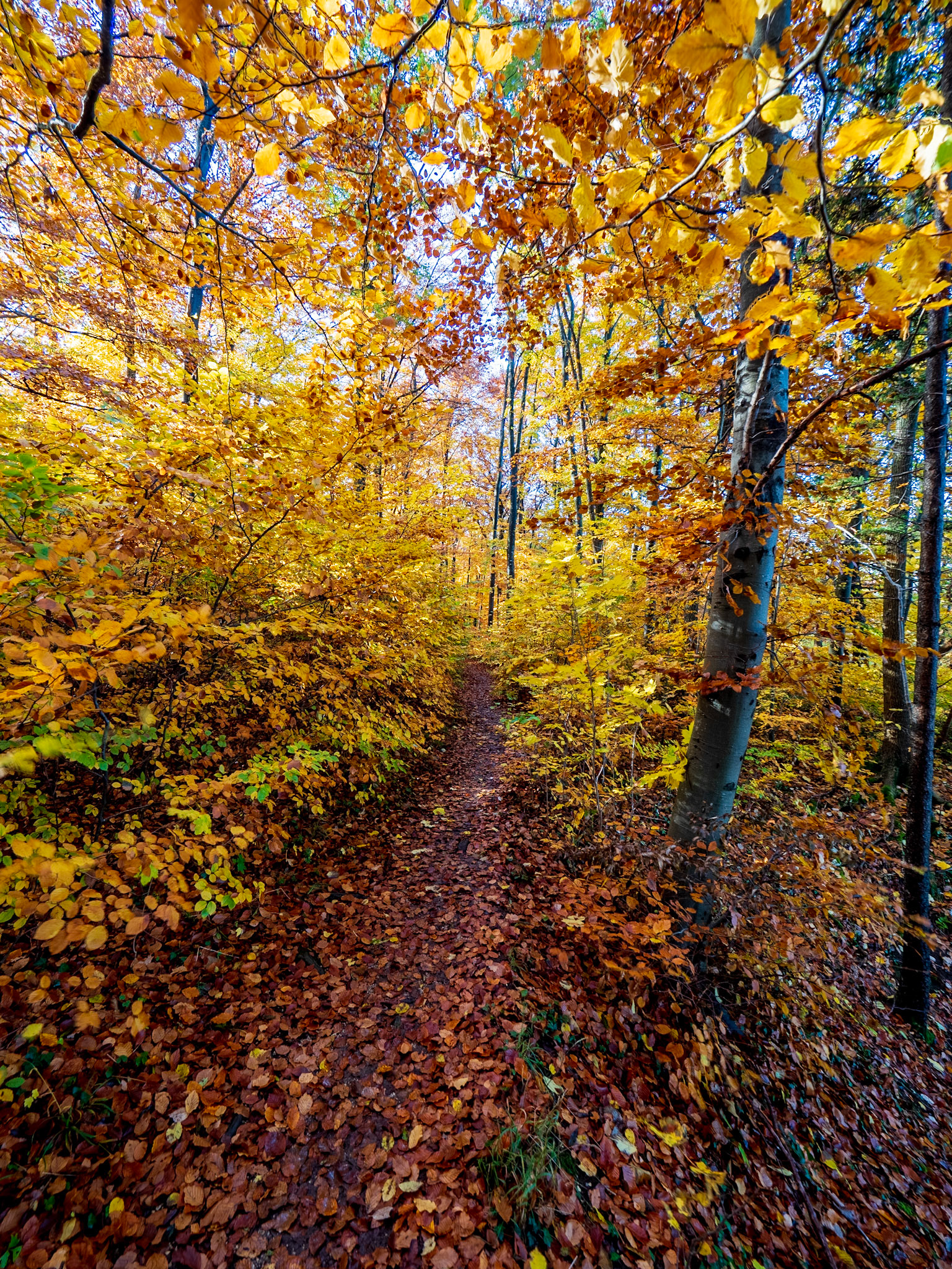 Rund um den Hohenneuffen