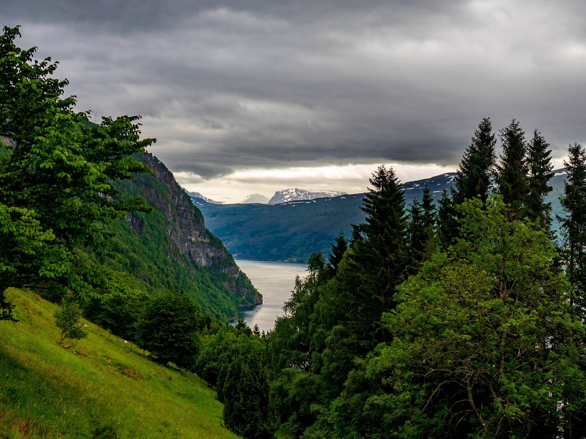 Auf dem Weg zum Tvinvefossen. Norwegen im Juni 2018

On the way to Tvinefossen (Norway, June 2018)