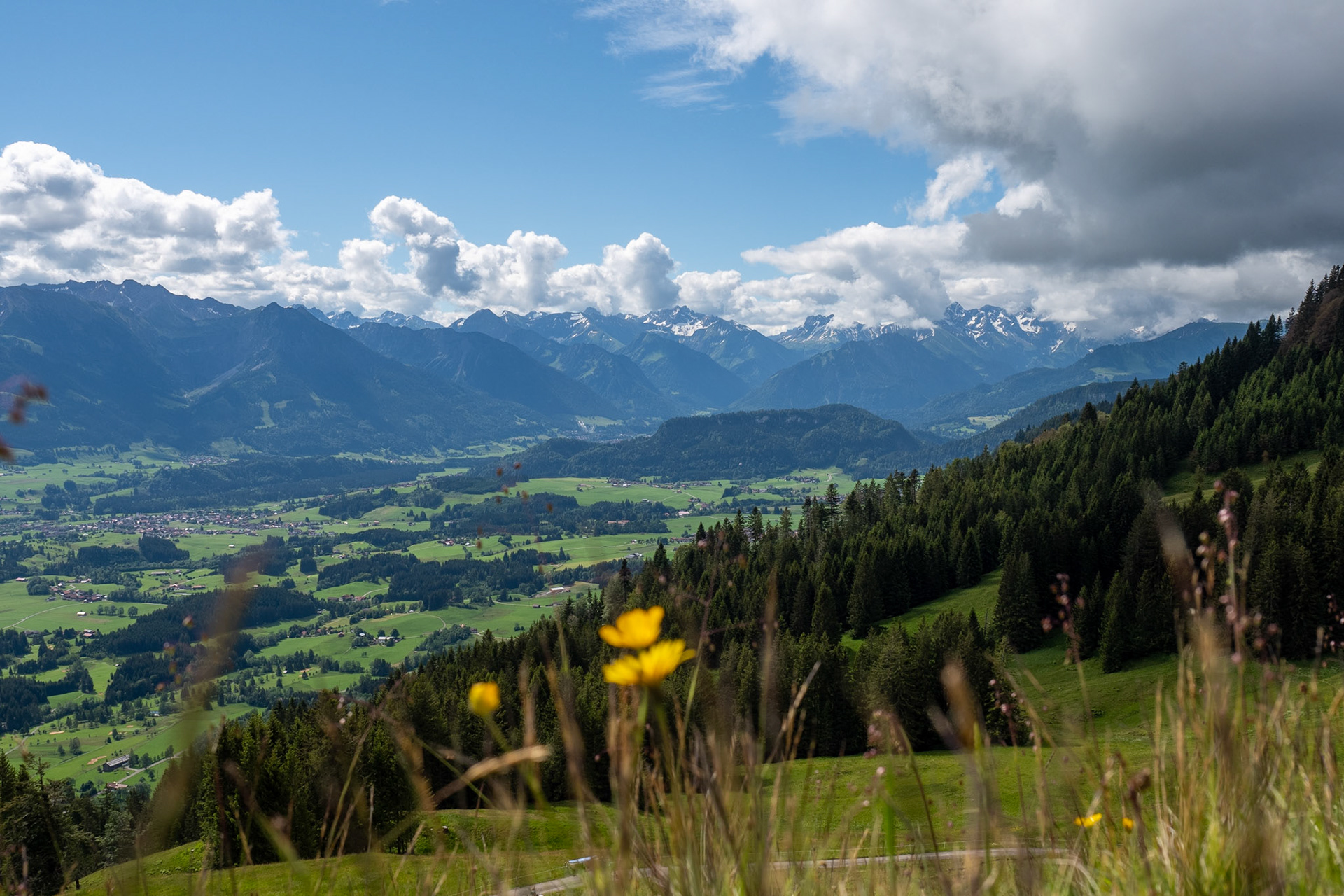 Um und auf dem Ofterschwanger Horn