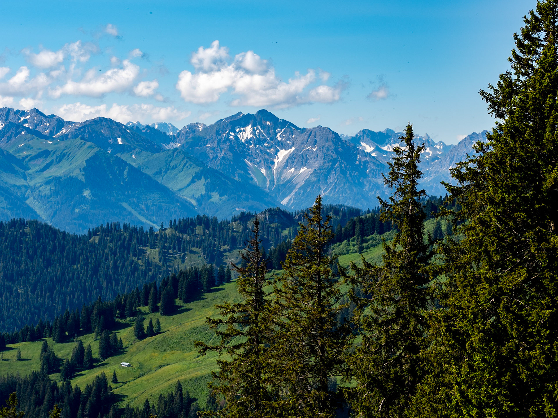 mit Weiherkopf, Rangiswanger Horn, bis kurz vor das Sigiswanger Horn und wieder zurück