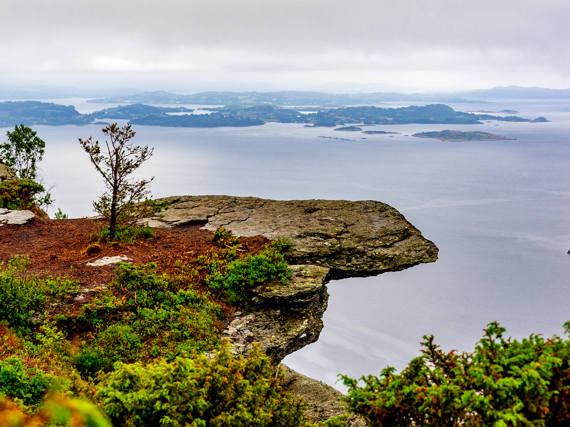 Endlich oben am Himakånå - und wir hatten das für eine ganze Stunde ganz für uns alleine.

Finally on top of Himakånå. We were the only visitors for the hour we were up there.