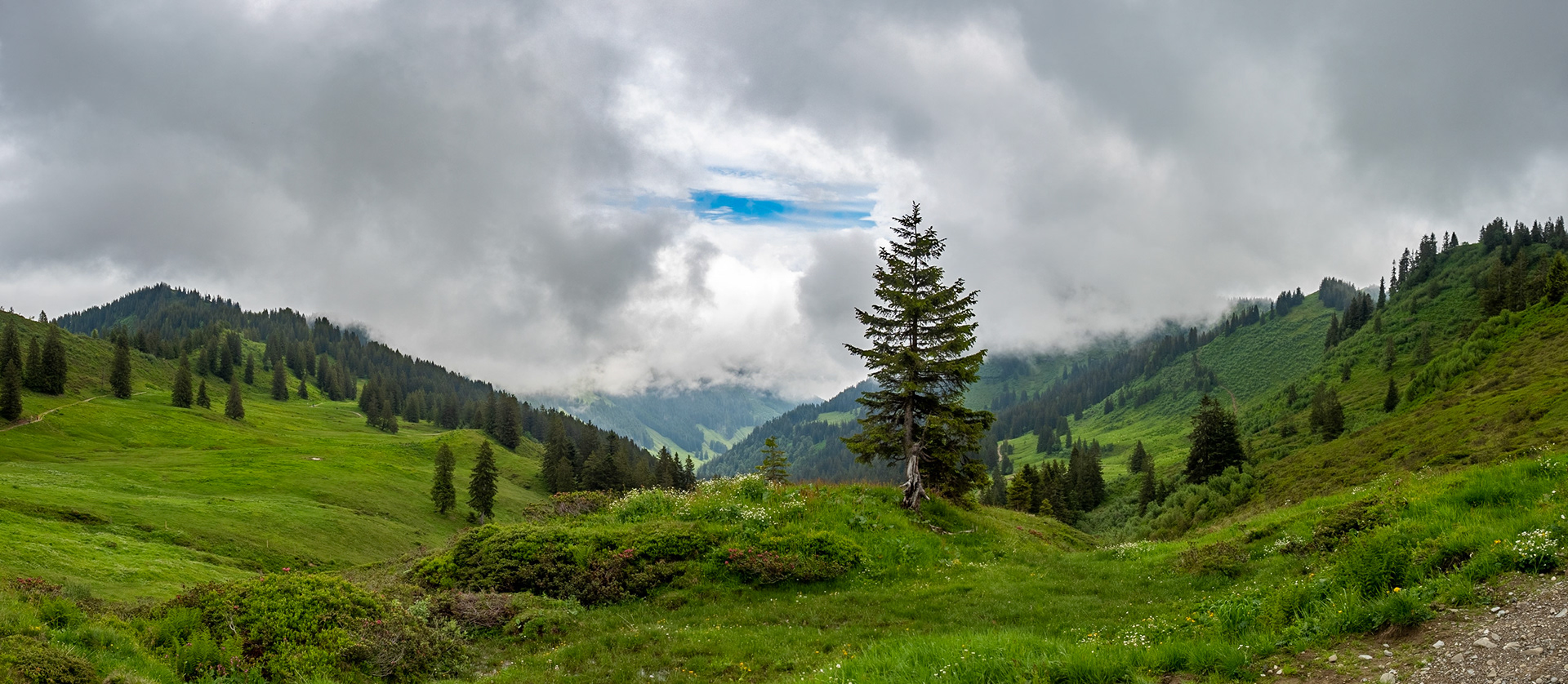 Bei eher schlechtem Wetter und anfangs sehr schlechter Sicht, eine durchaus reizvolle und leichte Wanderung mit schöner Aussicht