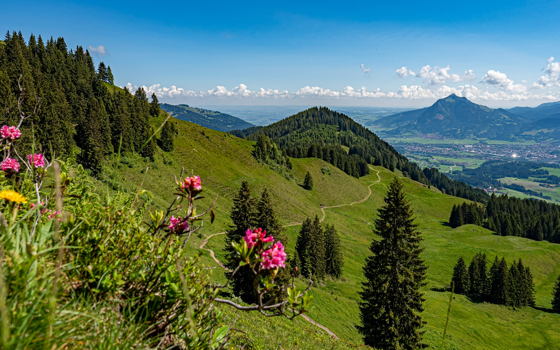 mit Weiherkopf, Rangiswanger Horn, bis kurz vor das Sigiswanger Horn und wieder zurück