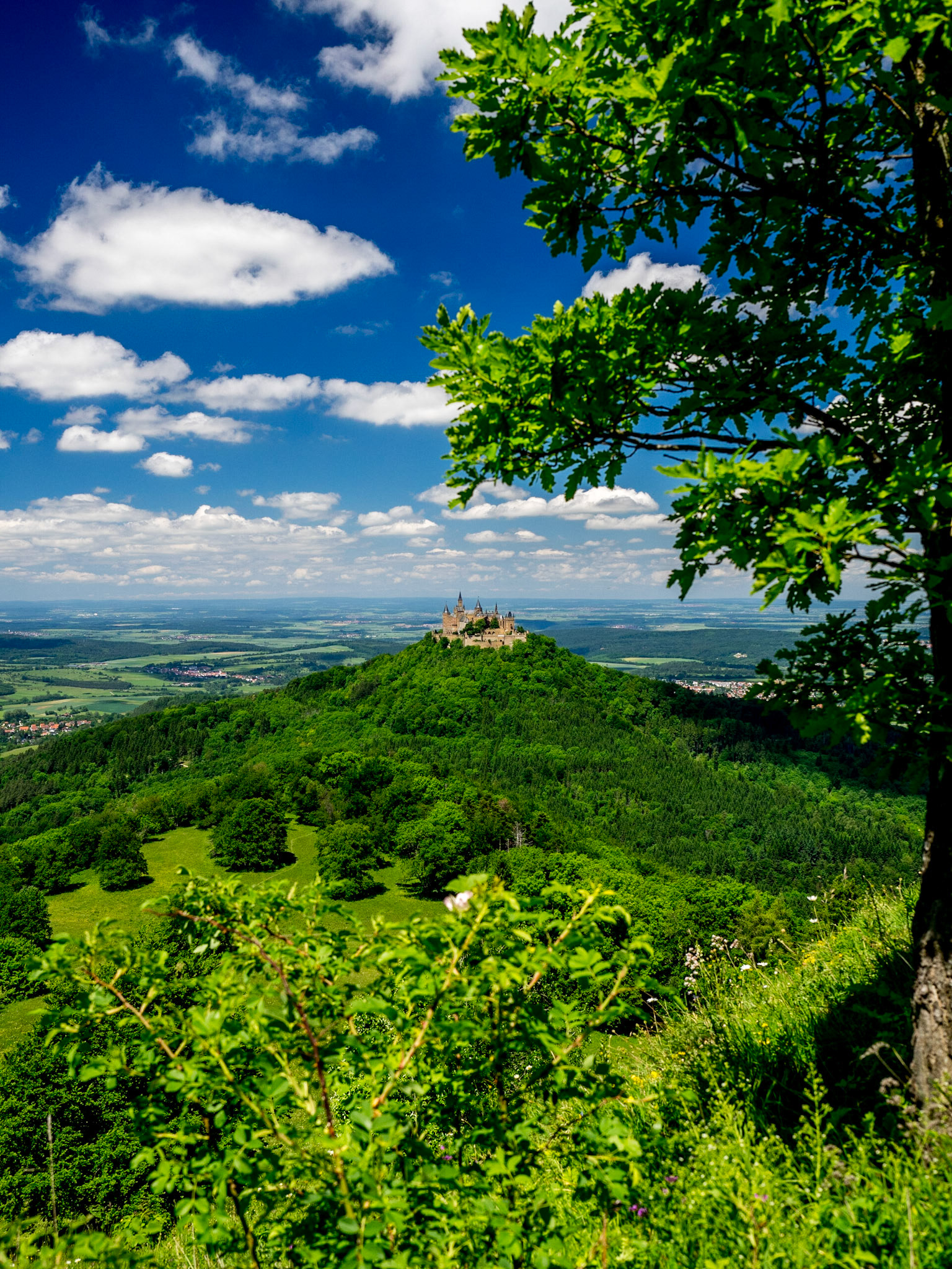 Hohenzollern
