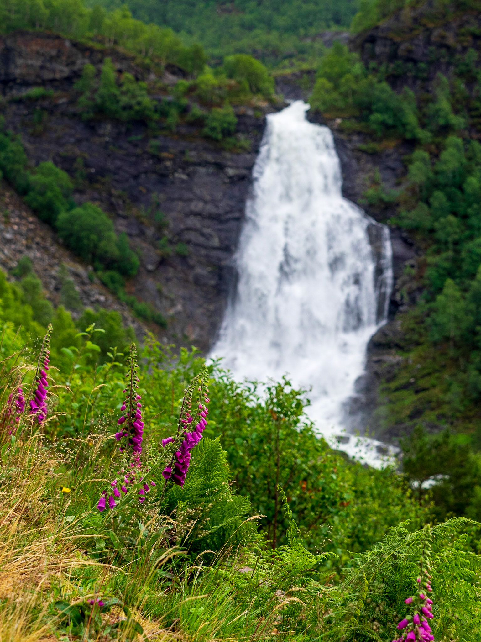 Fossen Brate im Juni 2018 in Norwegen

Fossen Brate in June 2018 in Norway