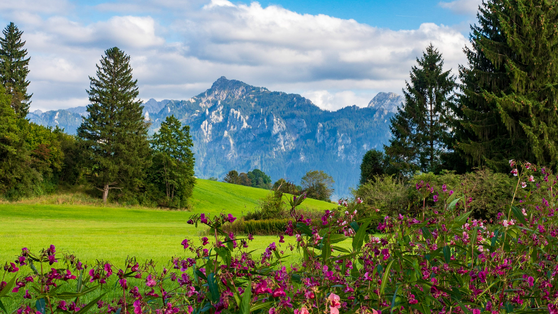 Am und um den Hopfensee