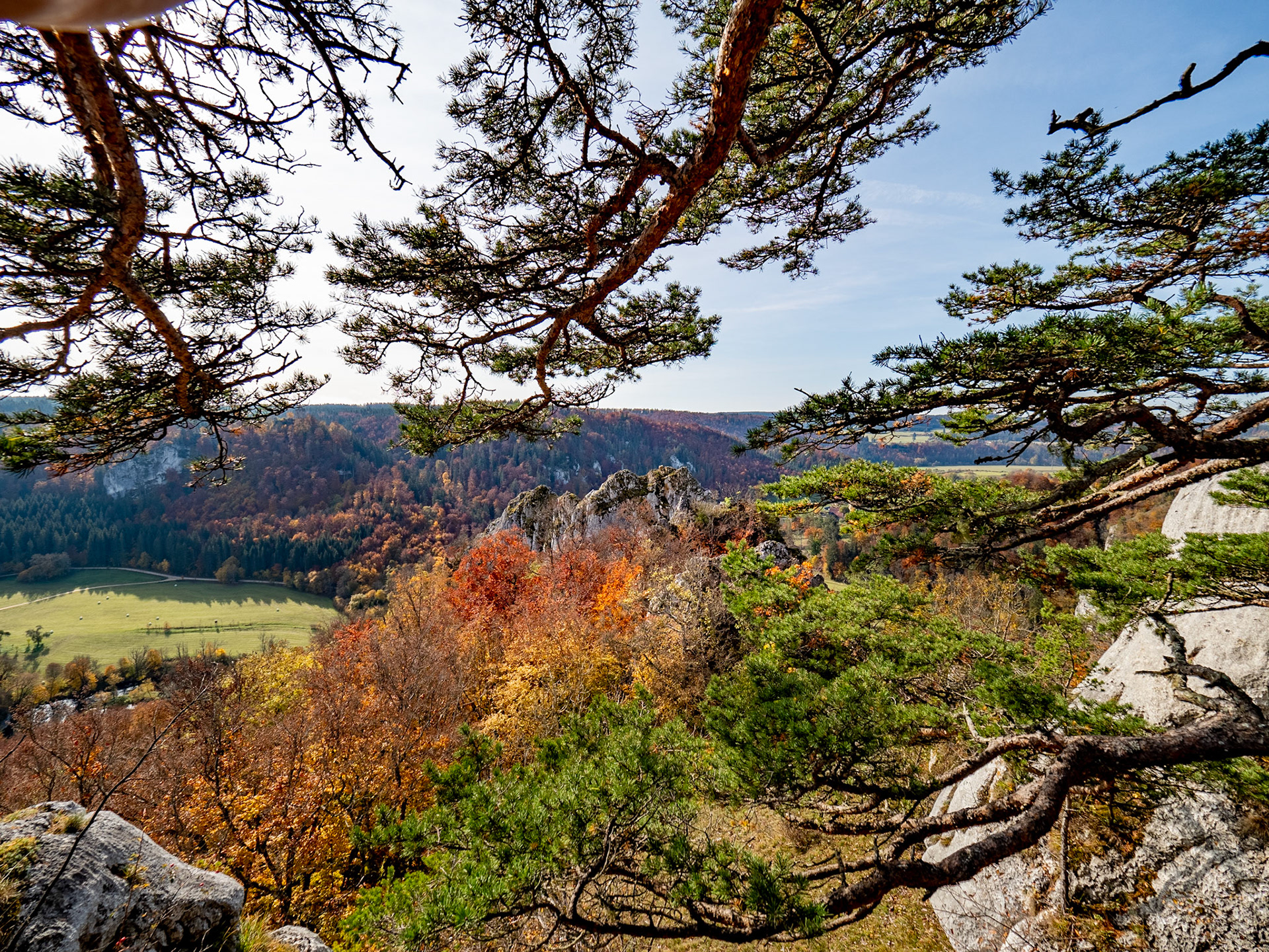 Ein Wanderung im Donautal ist am Wochenende nicht empfehlenswert. Da ist die Hölle los