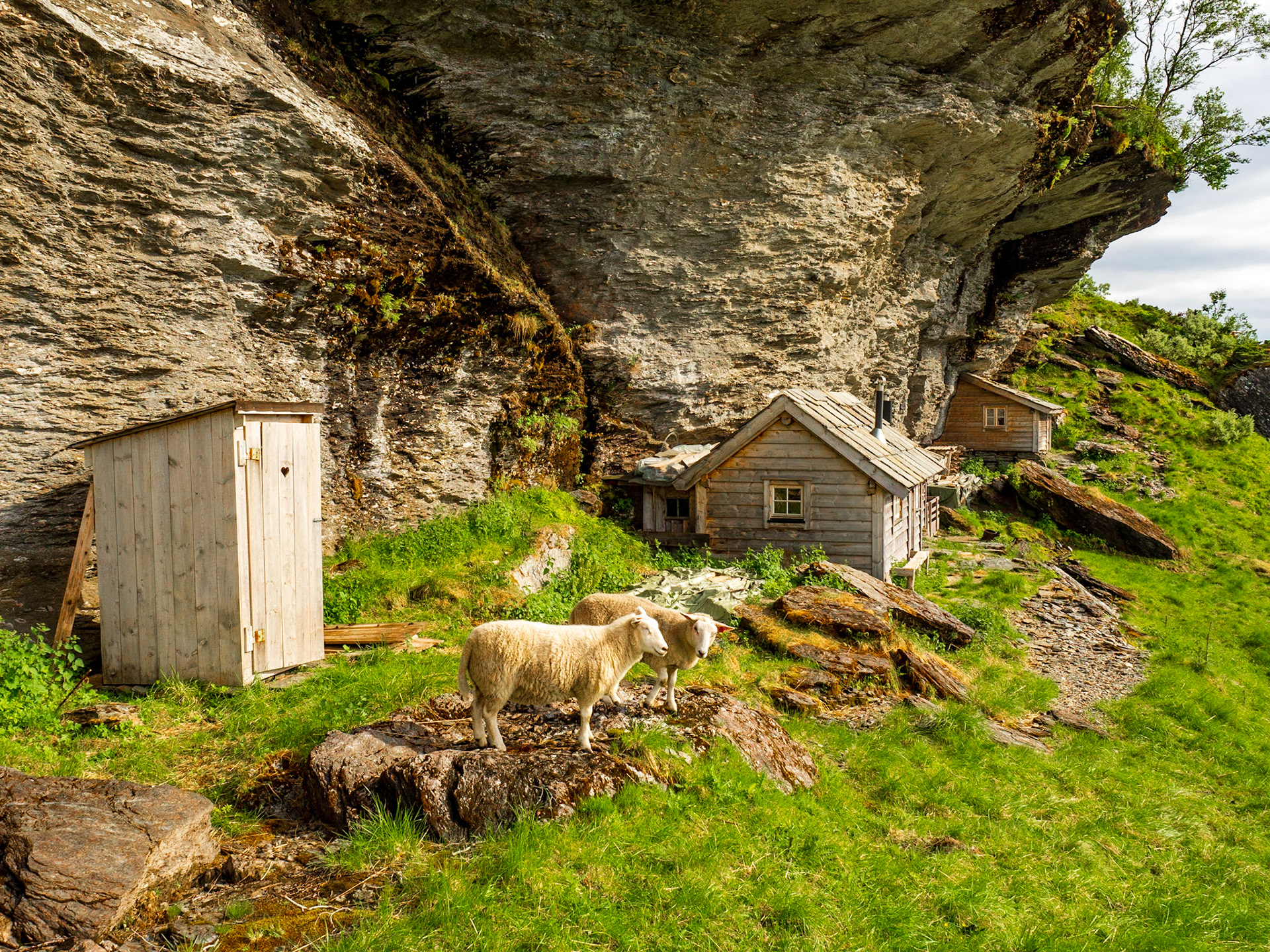Koldal mit diesen netten Hütten und sehr aufdringlichen Schafen.

Koldal with these nice huts and very intrusive sheep