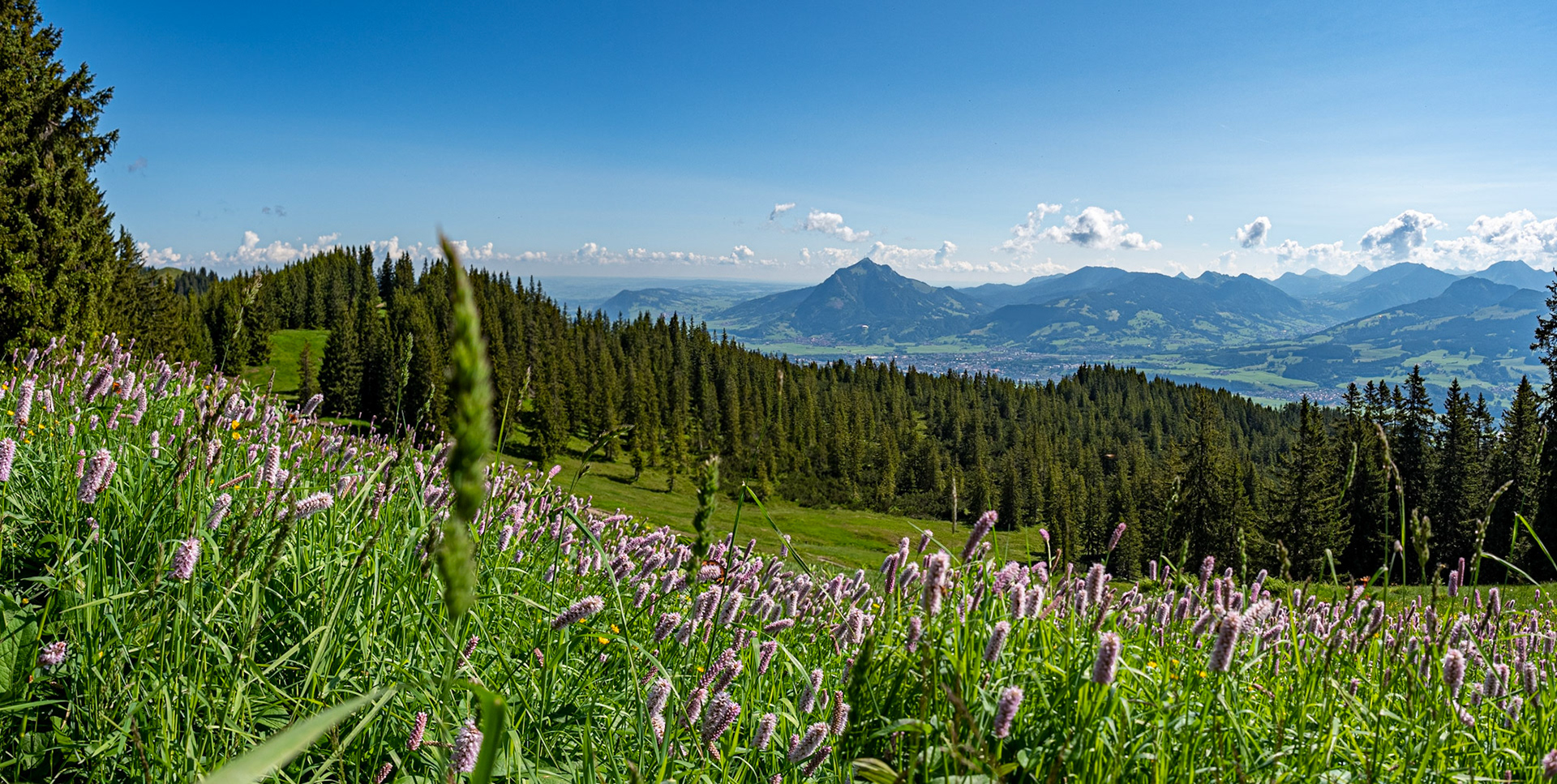 mit Weiherkopf, Rangiswanger Horn, bis kurz vor das Sigiswanger Horn und wieder zurück