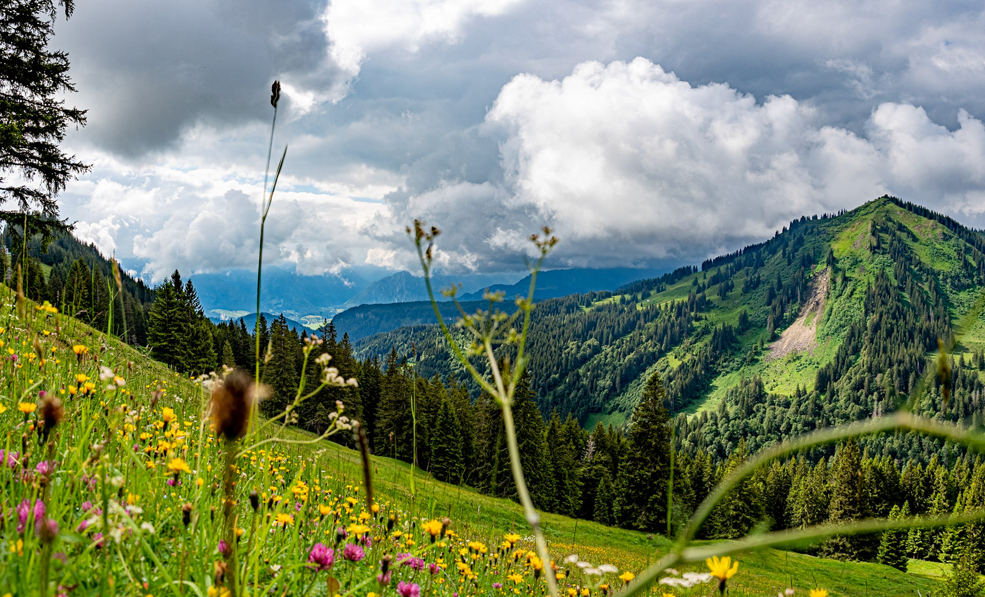 über die Alpe Hinteregg und die Alpe Zunkleiten