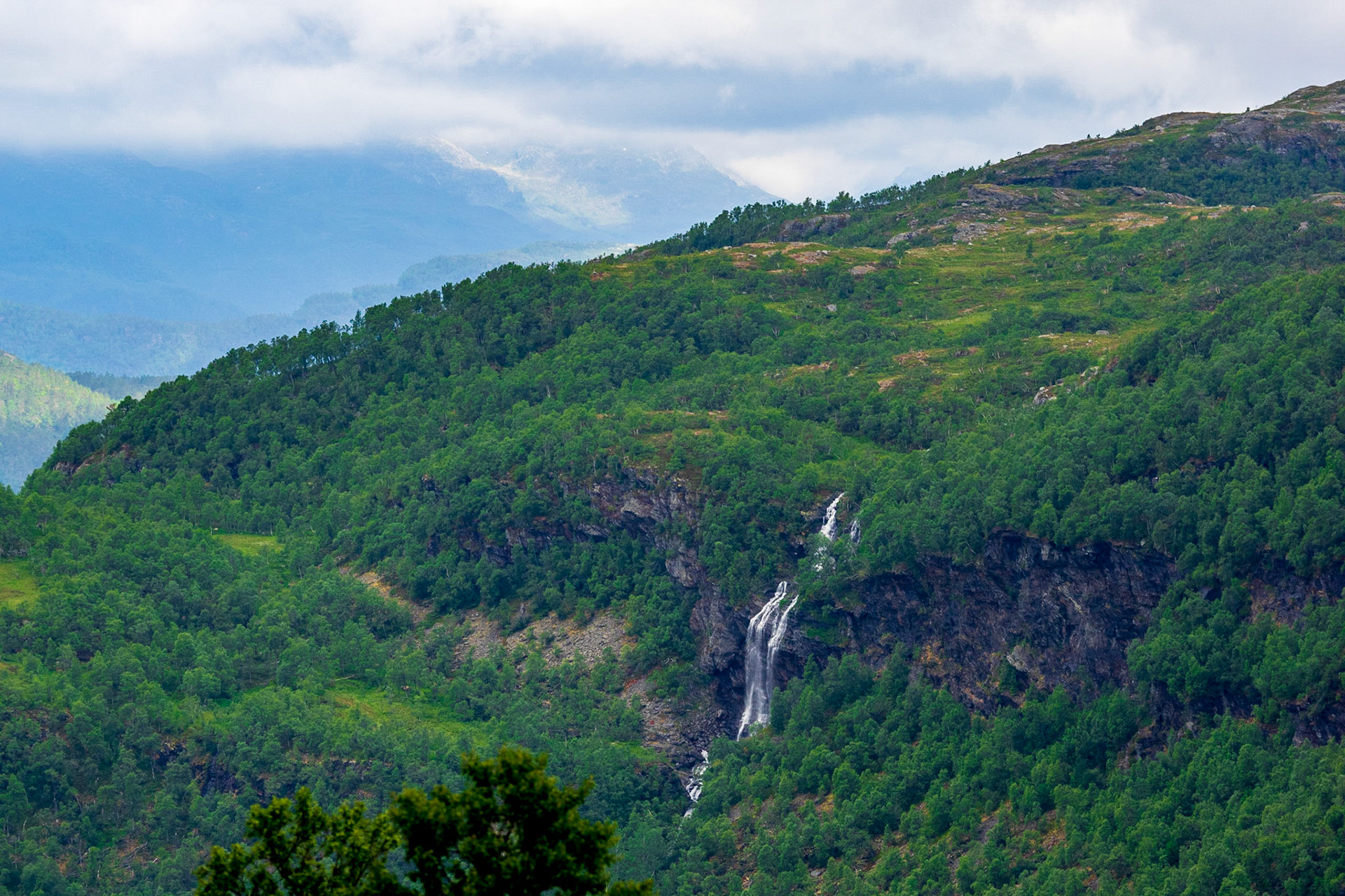 Beim Erklimmen des Gullingen im Juni 2018

At hiking the Gullingen in June 2018