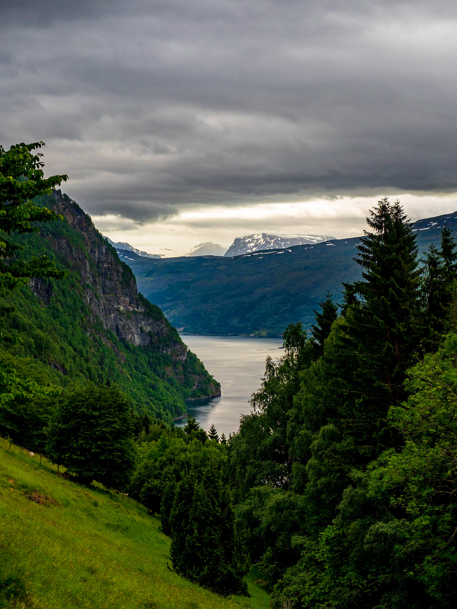 Auf dem Weg zum Tvinvefossen. Norwegen im Juni 2018

On the way to Tvinefossen (Norway, June 2018)