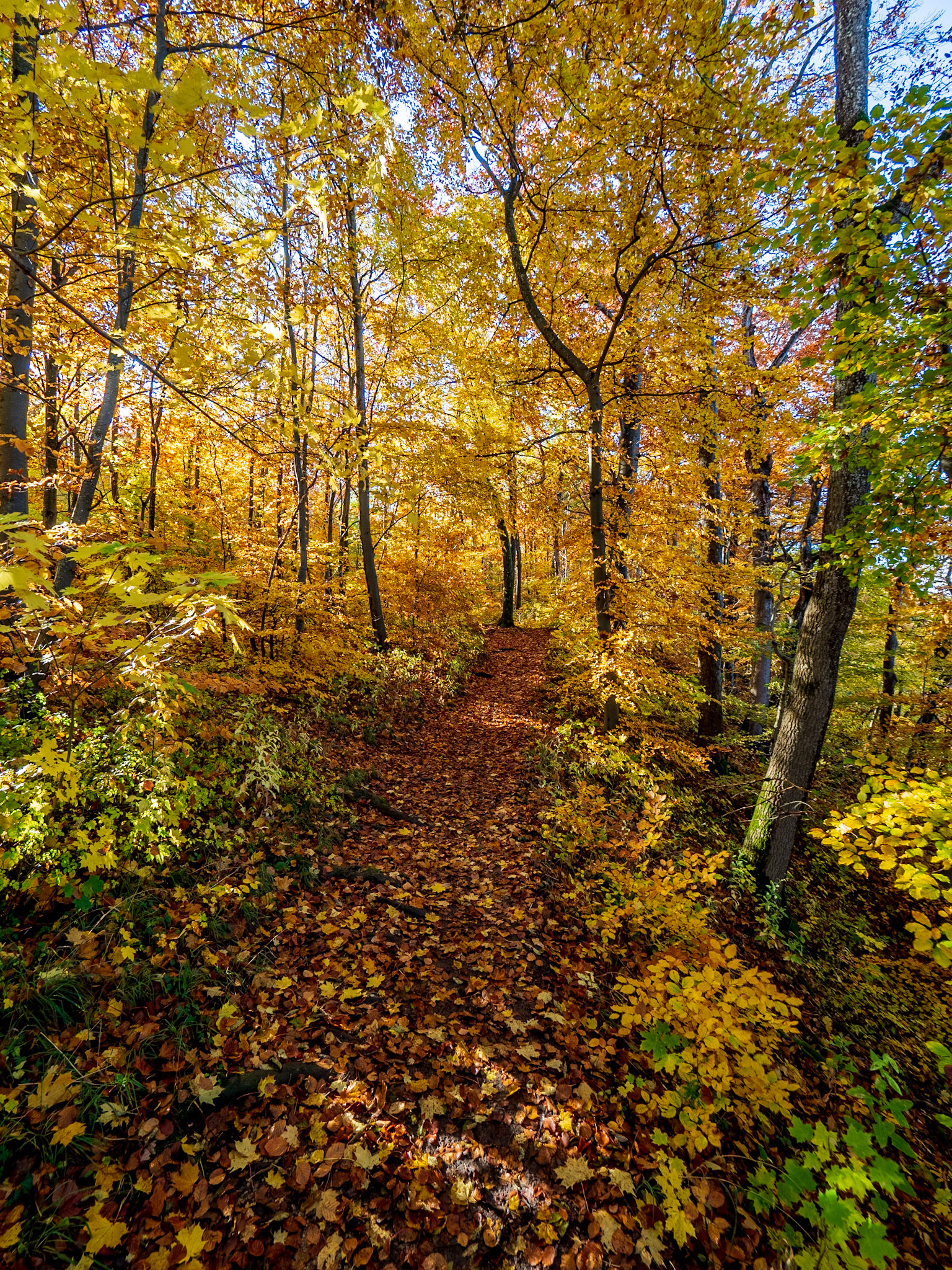 Rund um den Hohenneuffen